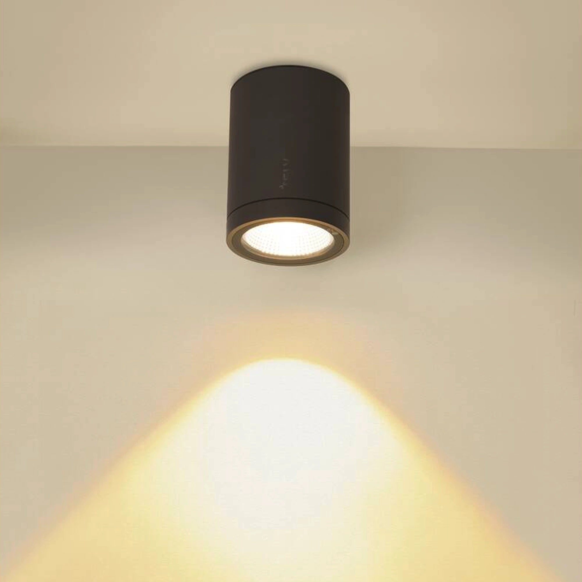 LED stropna svjetiljka ENOLA ROUND M, antracit, 11W, 3000/4000K, IP65