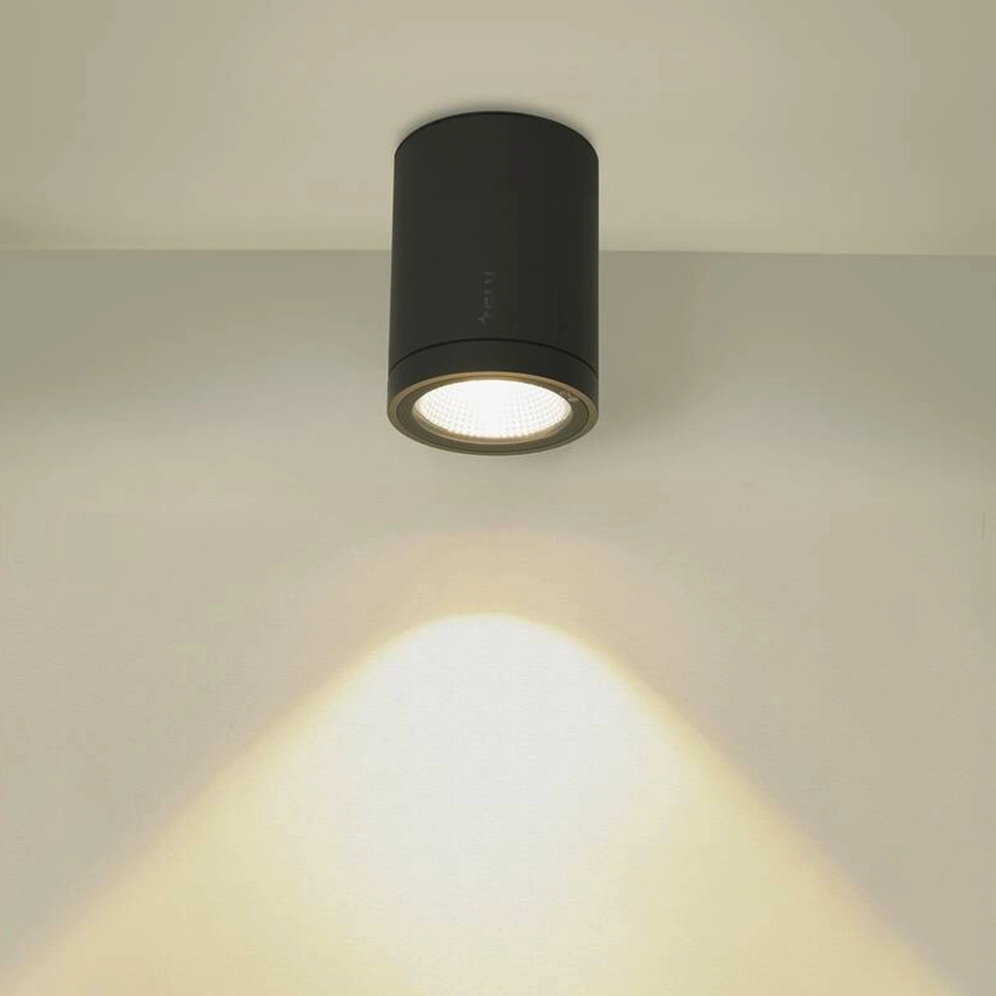 LED stropna svjetiljka ENOLA ROUND M, antracit, 11W, 3000/4000K, IP65