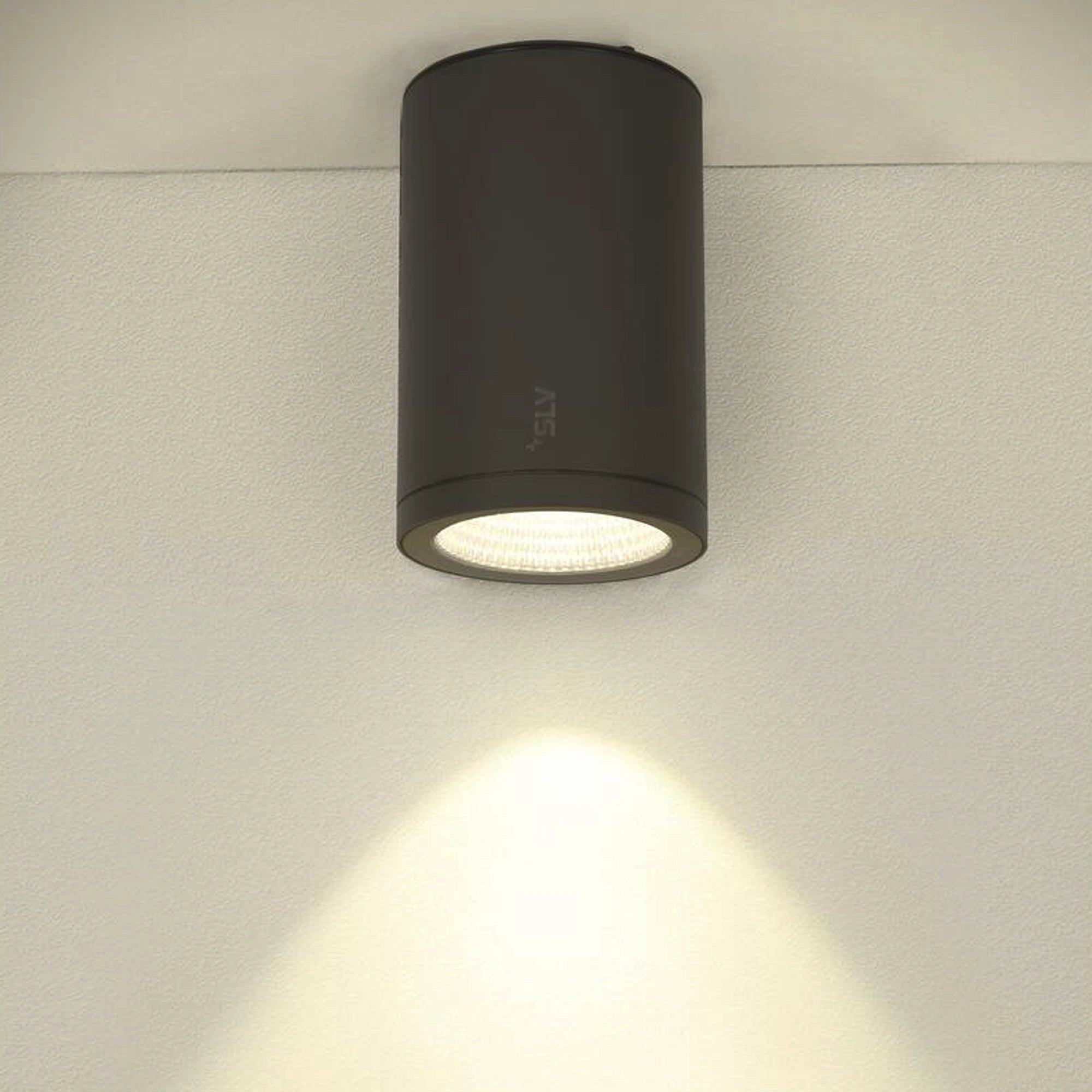 LED stropna svjetiljka ENOLA ROUND L, antracit, 36W, 3000/4000K, IP65