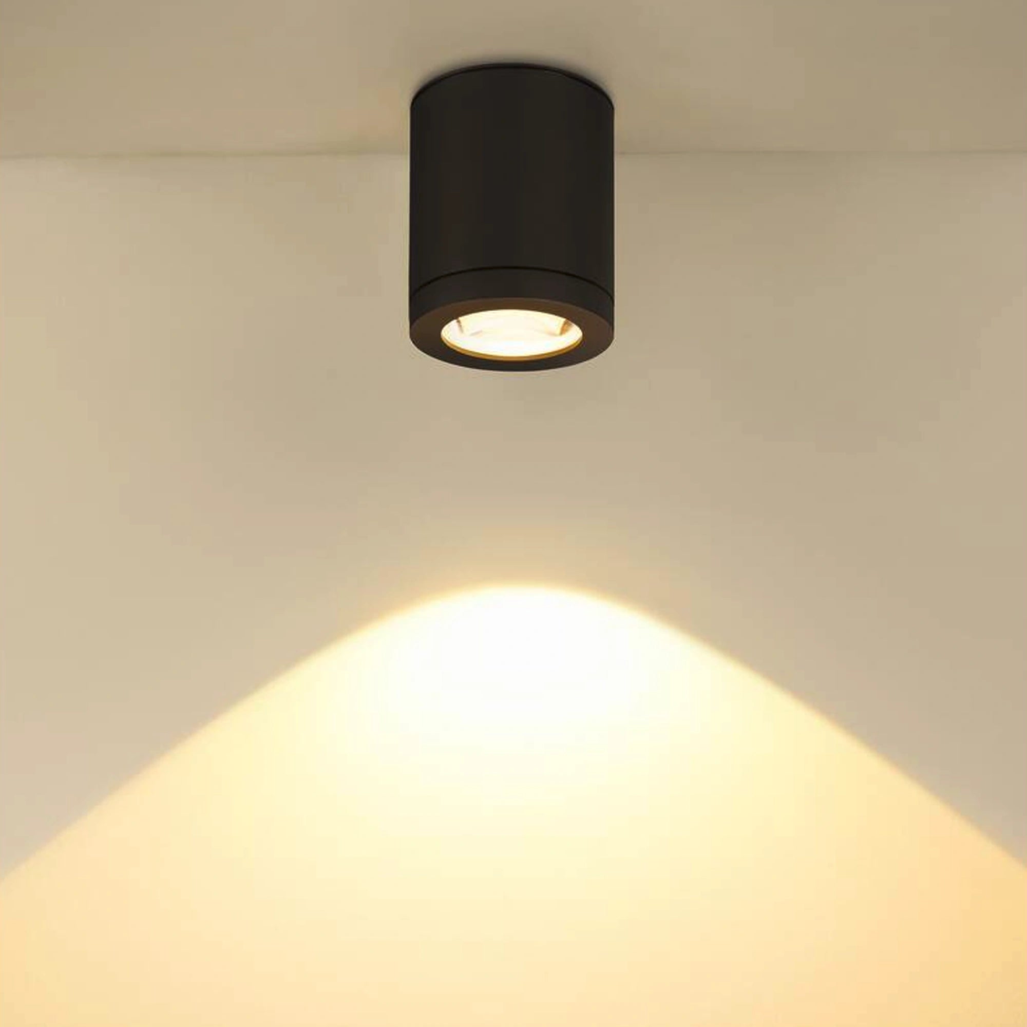 LED stropna svjetiljka ENOLA OCULUS, antracit, 11W, 3000/4000K, IP65