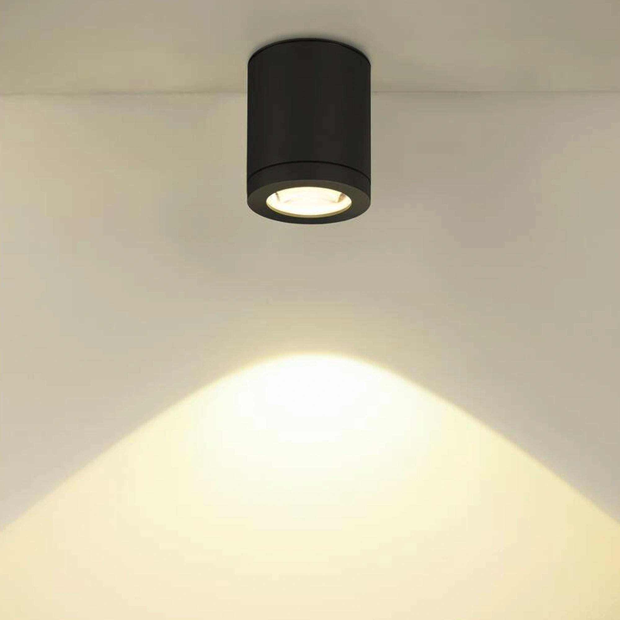 LED stropna svjetiljka ENOLA OCULUS, antracit, 11W, 3000/4000K, IP65