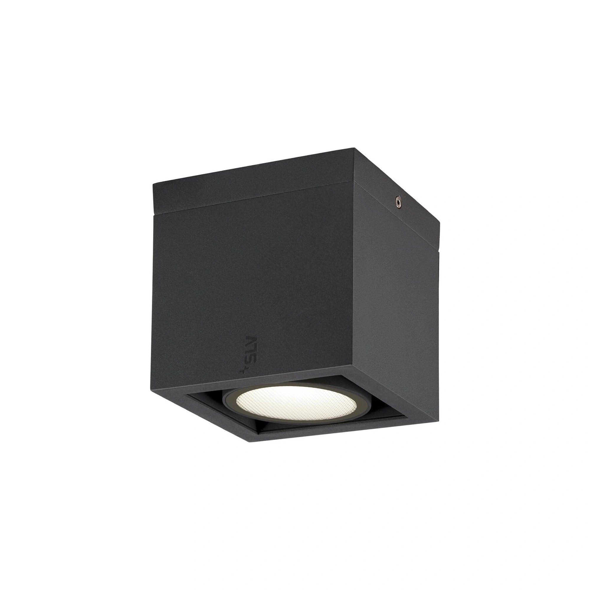 LED stropna svjetiljka ESKINA FRAME, antracit, 15W, 3000/4000K, IP65