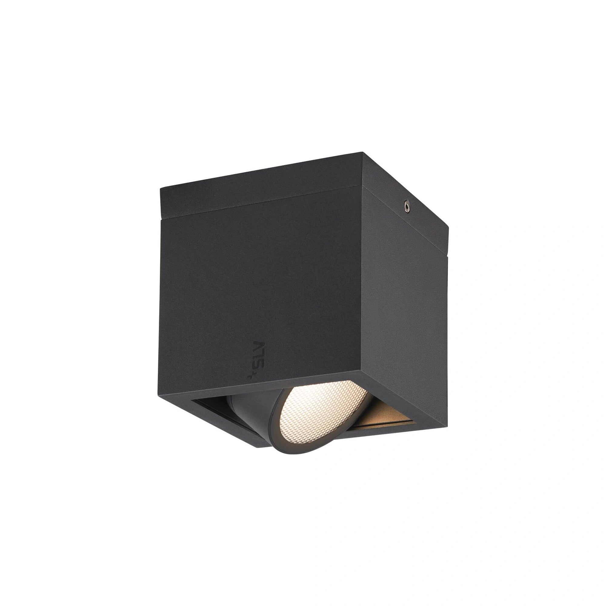 LED stropna svjetiljka ESKINA FRAME, antracit, 15W, 3000/4000K, IP65