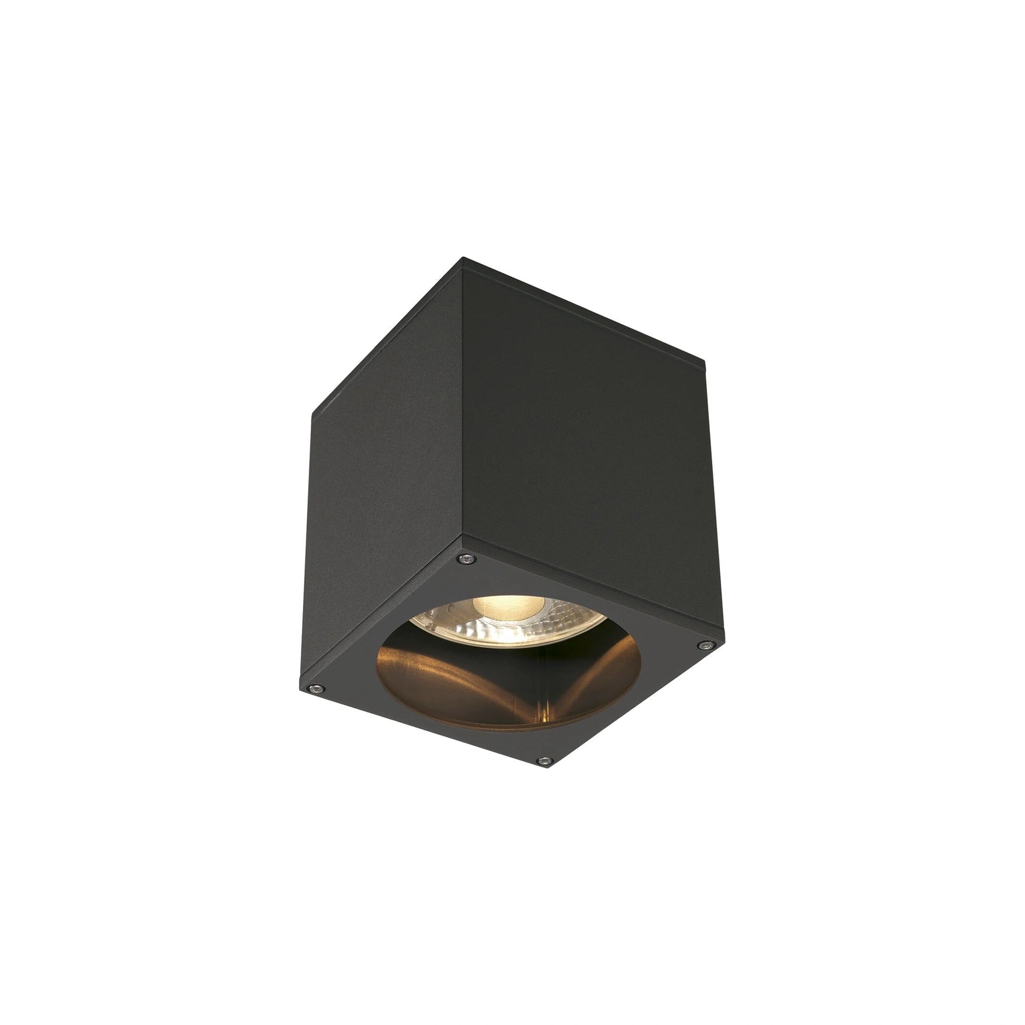 Stropna svjetiljka BIG THEO, antracit, 1xGU10, IP44