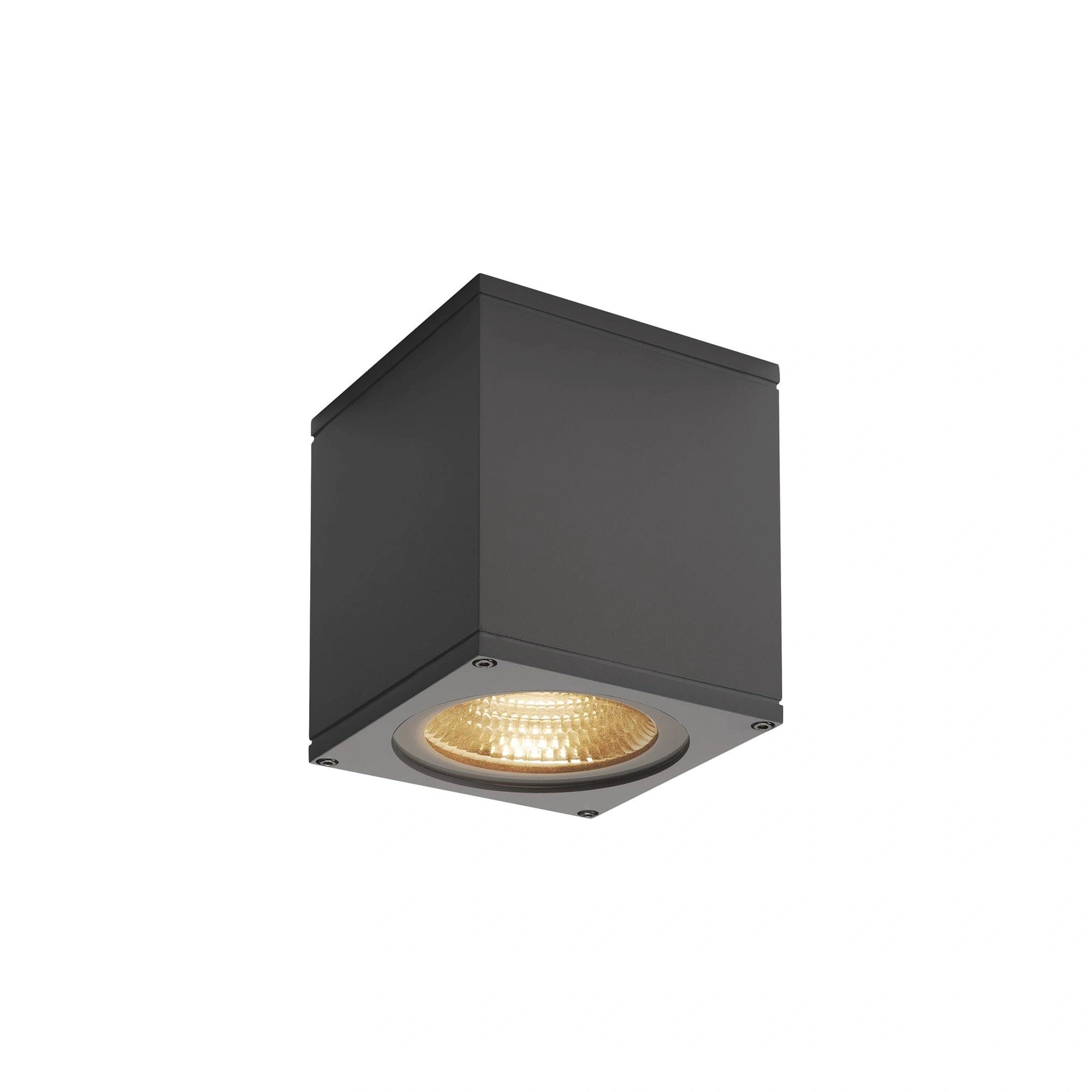 LED stropna svjetiljka BIG THEO, antracit, 21W, 3000K, IP44