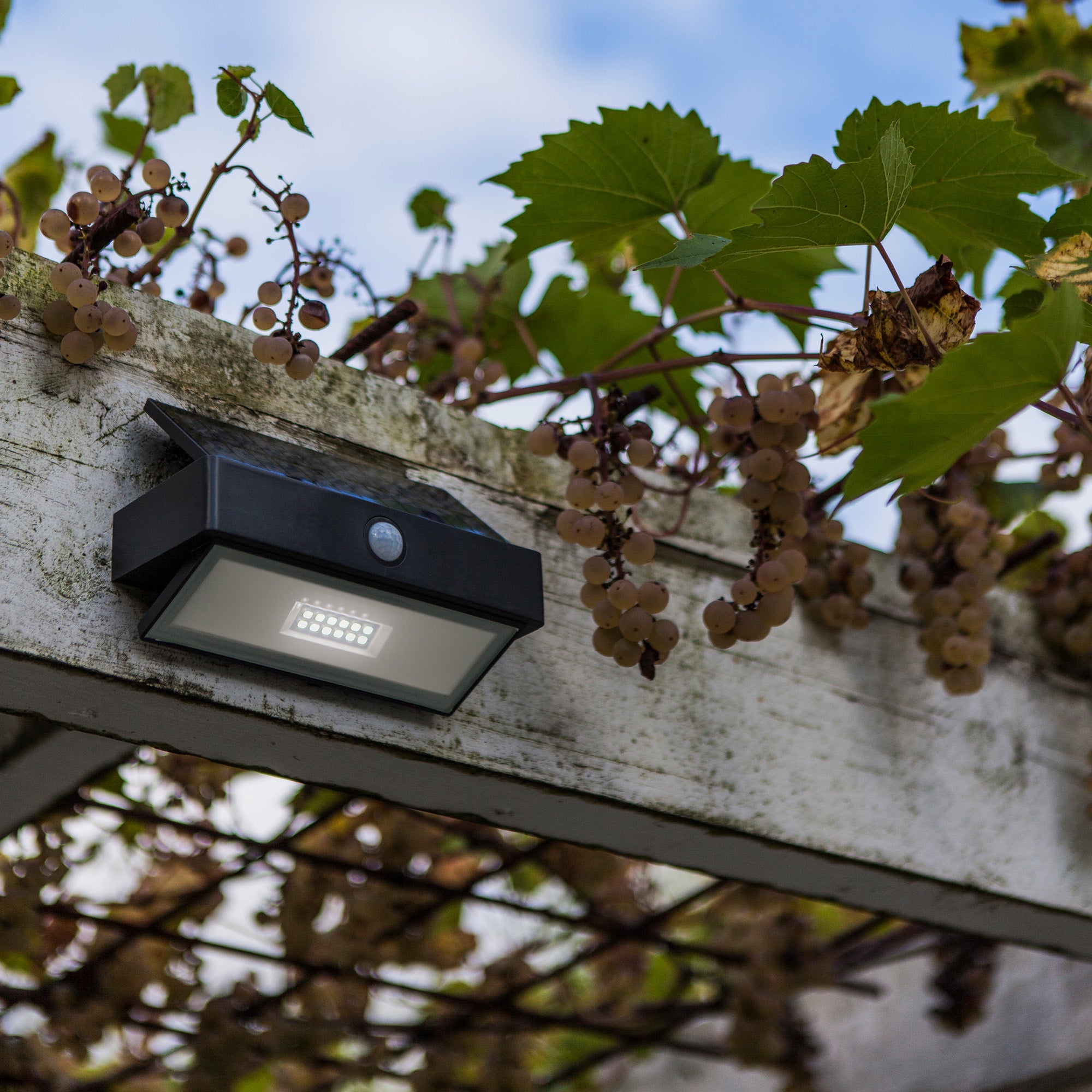 ARROW LED solarna zidna svjetiljka, senzor pokreta, tamno siva, 2.3W, 5000K, IP44, 109mm