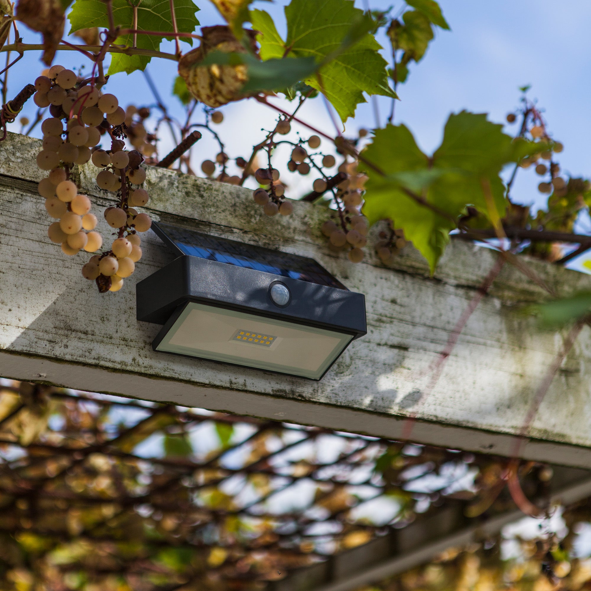 ARROW LED solarna zidna svjetiljka, senzor pokreta, tamno siva, 2.3W, 5000K, IP44, 109mm