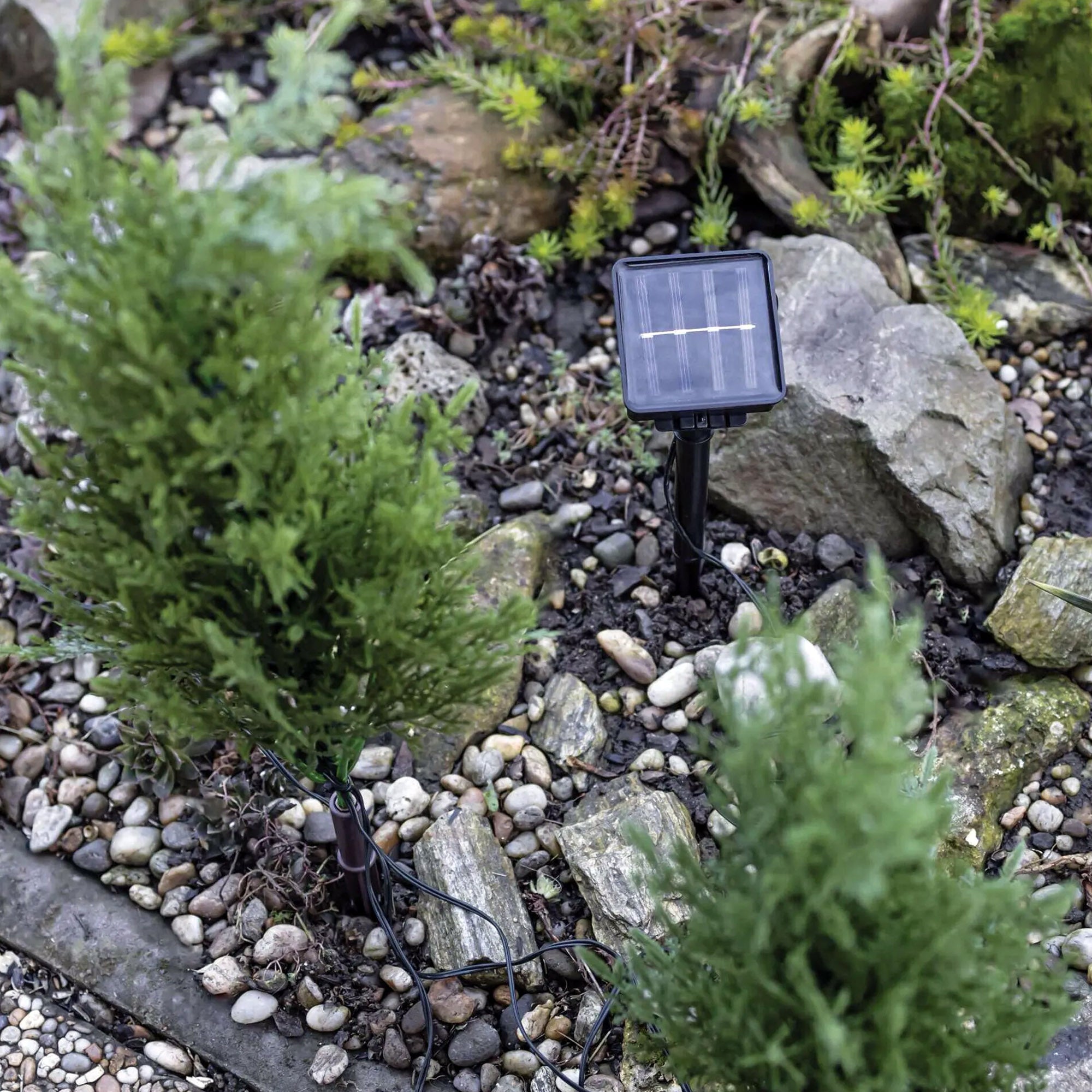 LED grančice sa solarnim panelom, vanjske, toplo bijela