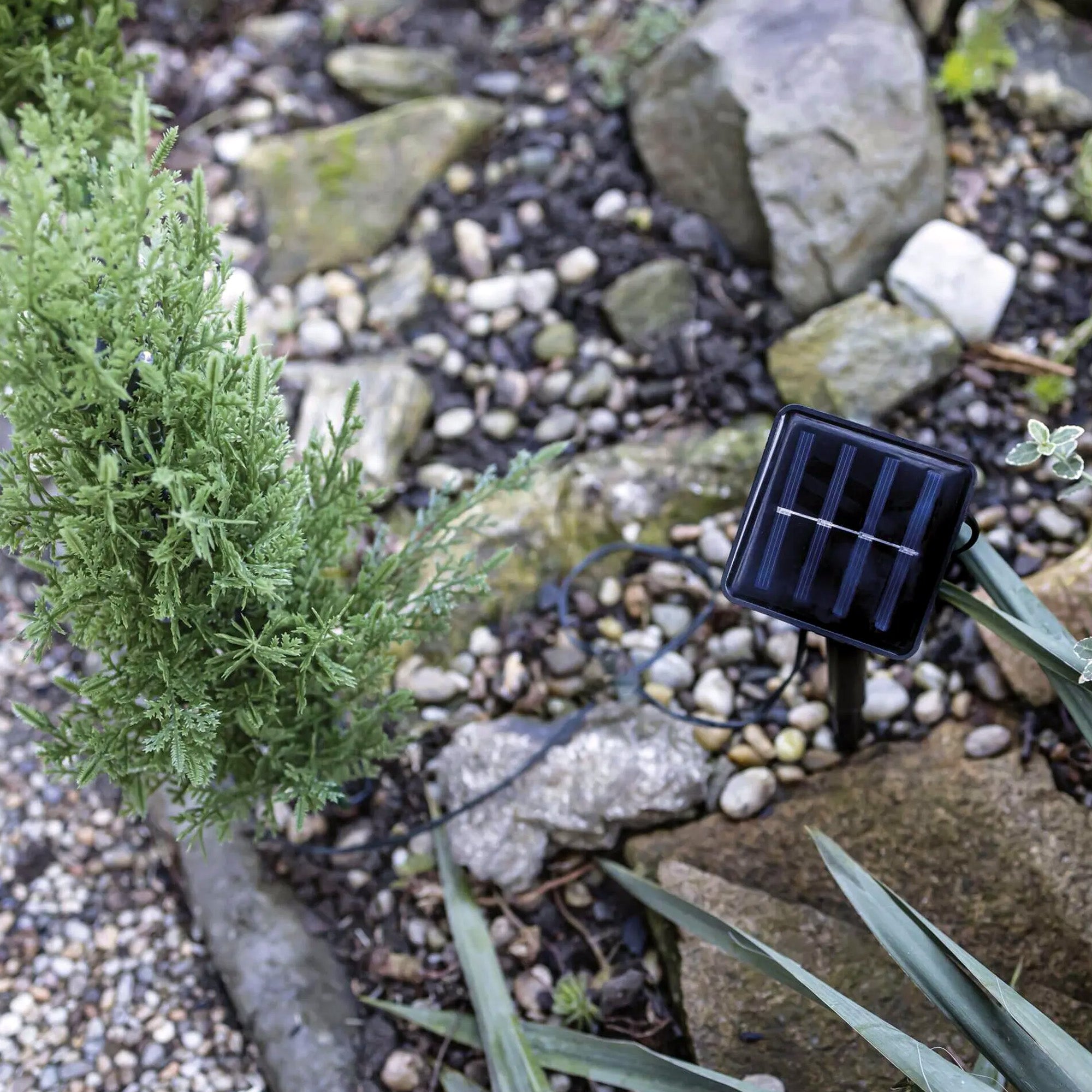 LED grančice sa solarnim panelom, vanjske, toplo bijela