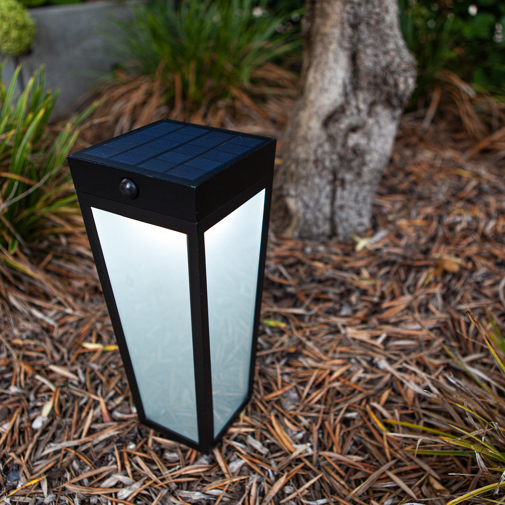 DIAS LED solarna vrtna svjetiljka, senzor pokreta, pametna, mat crna, 8.4W, CCT+RGB, IP44, 484mm