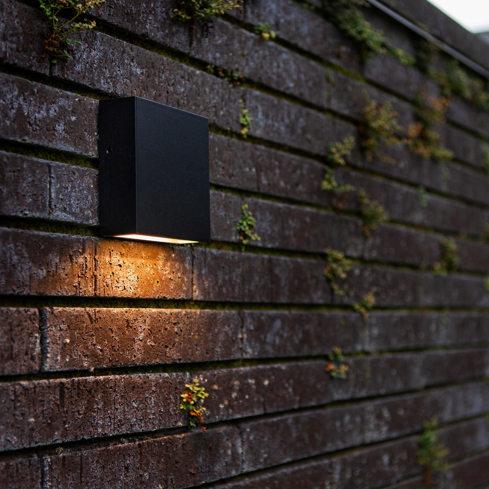 GEMINI XF LED zidna svjetiljka, mat crna, 7.4W, 3000K, IP54, 110mm