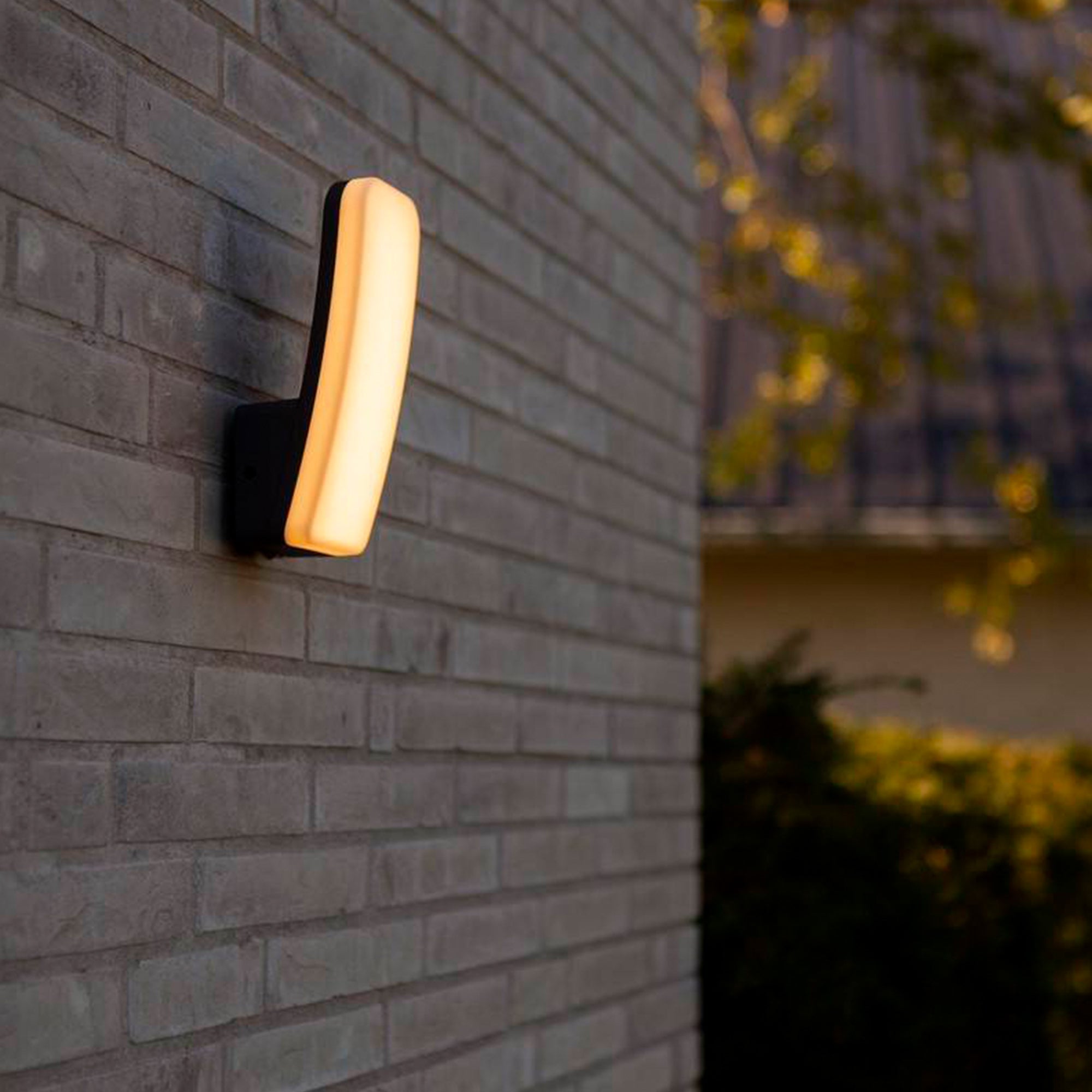 KITE LED zidna svjetiljka, tamno siva, 8.8W, 3000K, IP54, 200mm