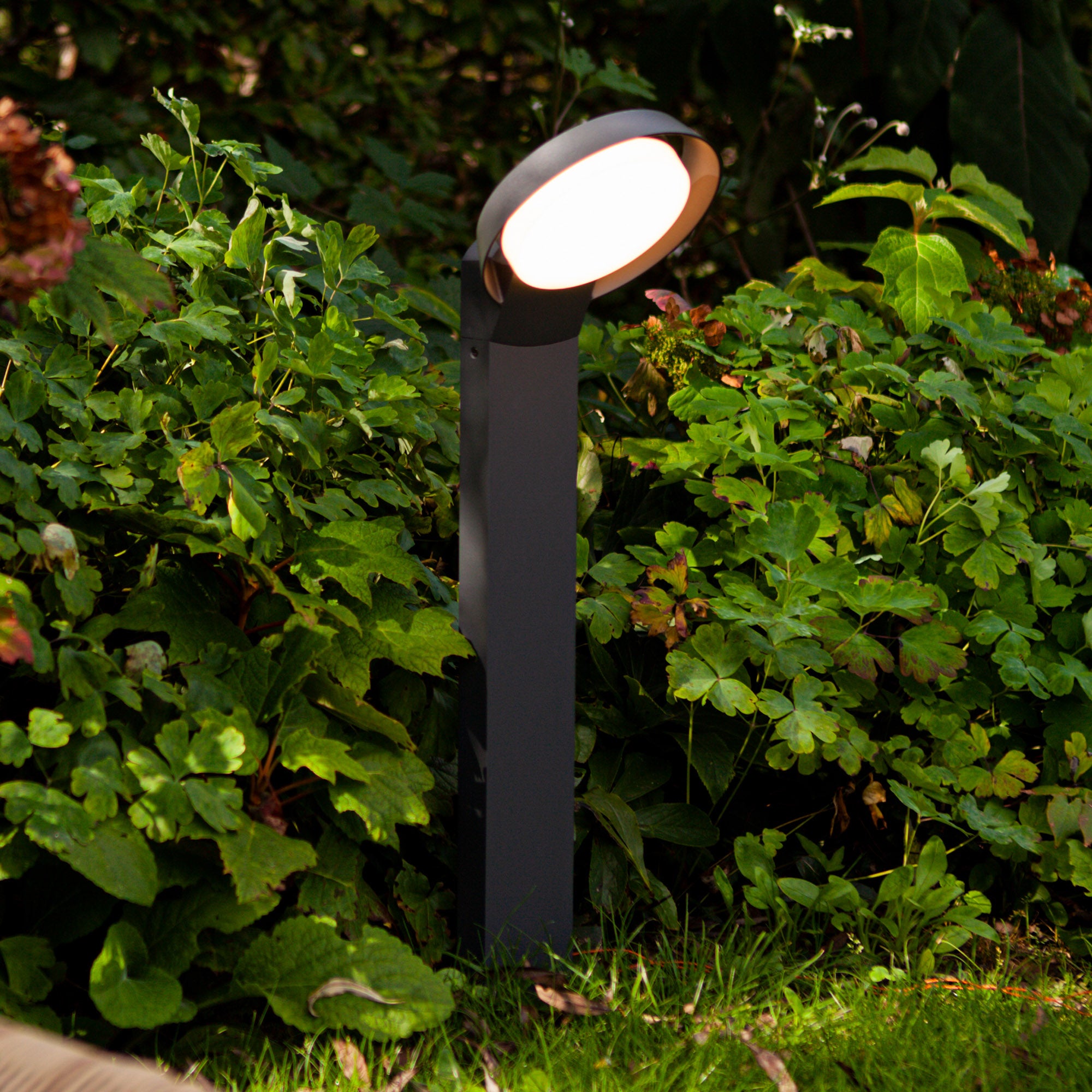 POLO LED vrtna svjetiljka, tamno siva, 15W, 3000K, IP54, 650mm
