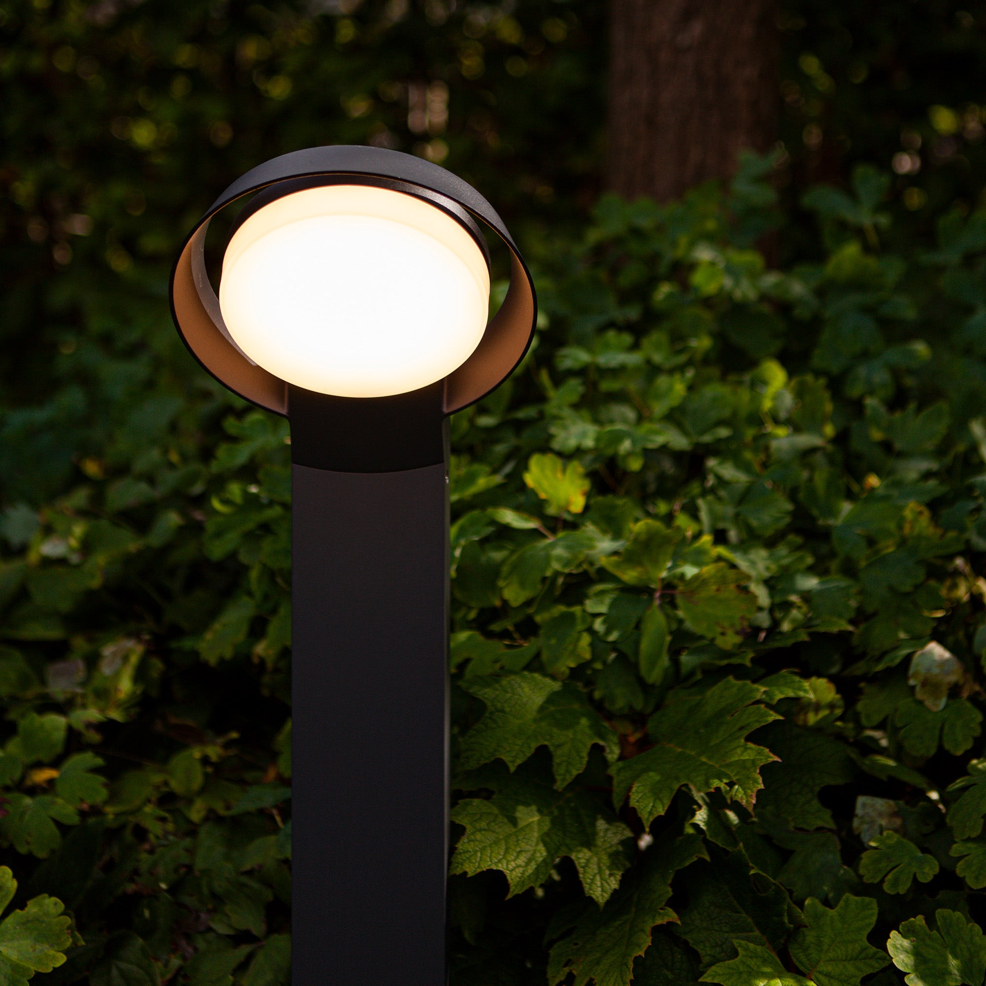 POLO LED vrtna svjetiljka, tamno siva, 15W, 3000K, IP54, 650mm