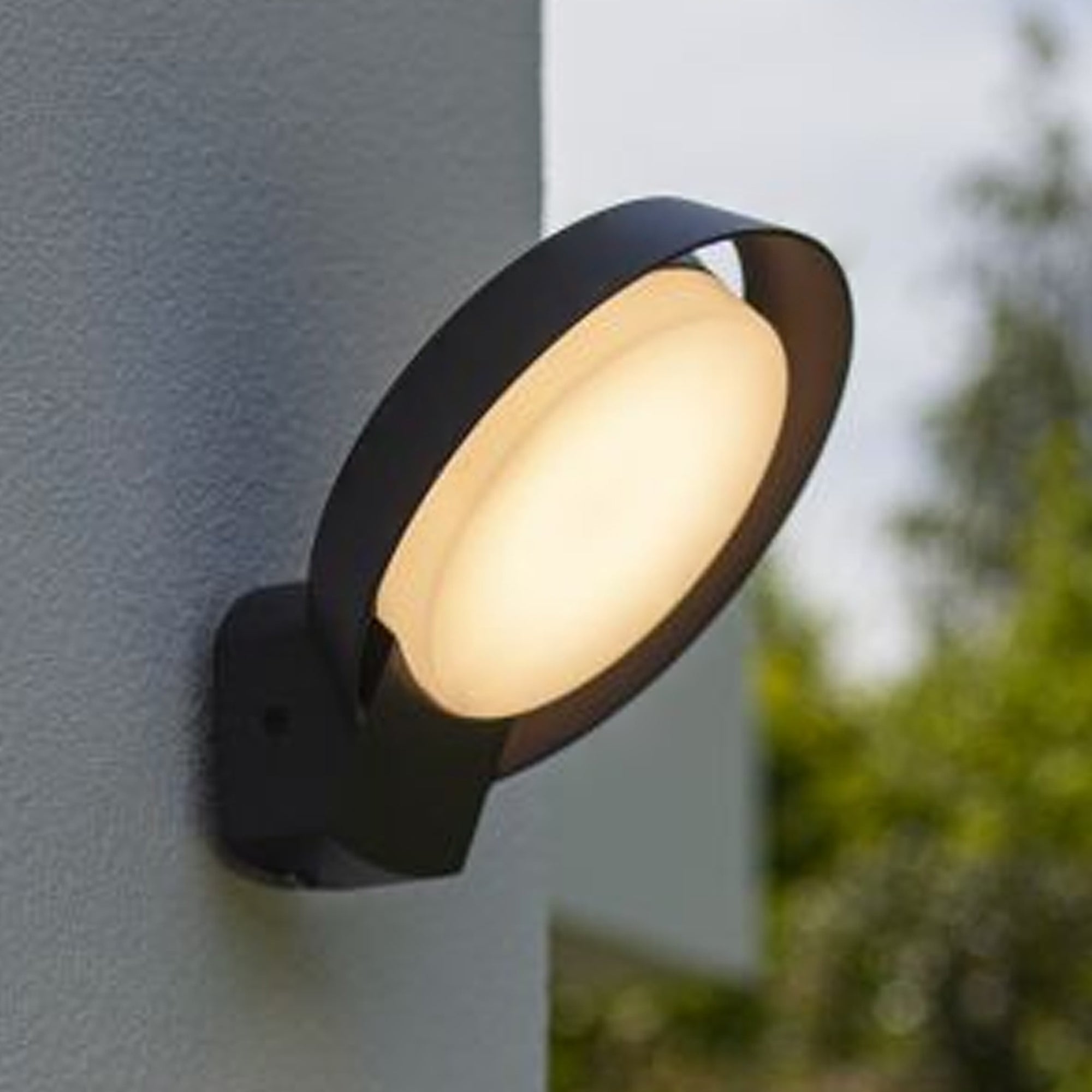 POLO LED zidna svjetiljka, tamno siva, 15W, 3000K, IP54, 164mm