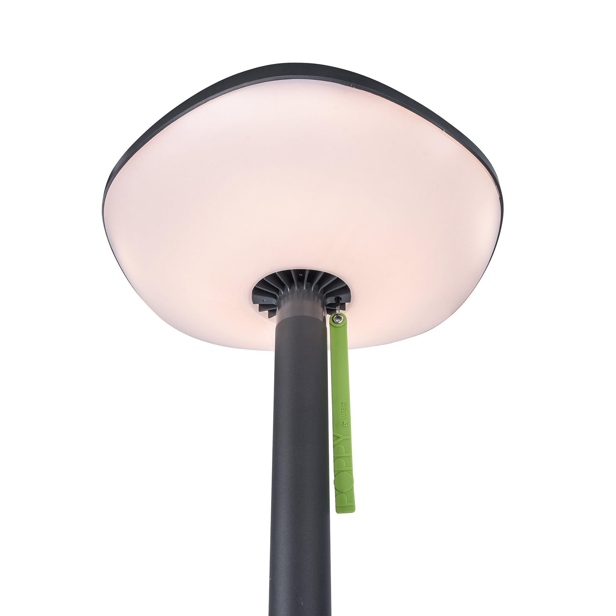 POPPY LED solarna vrtna svjetiljka, tamno siva, 8W, 3000K, IP54, 1900mm
