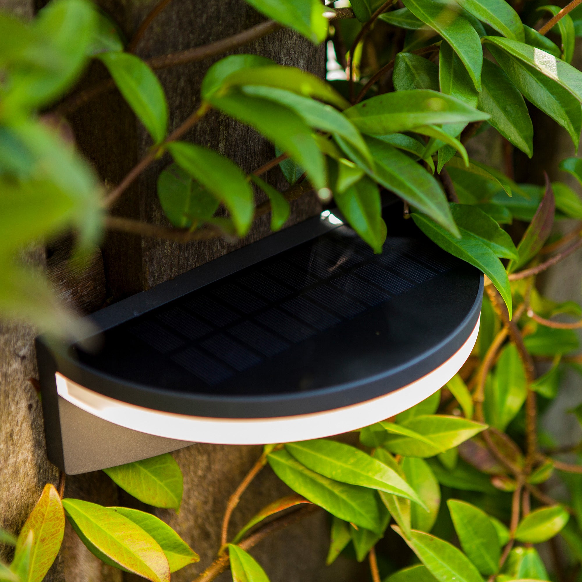 VYZOR LED solarna zidna svjetiljka, senzor pokreta, tamno siva, 7W, 4000K, IP44, 62mm