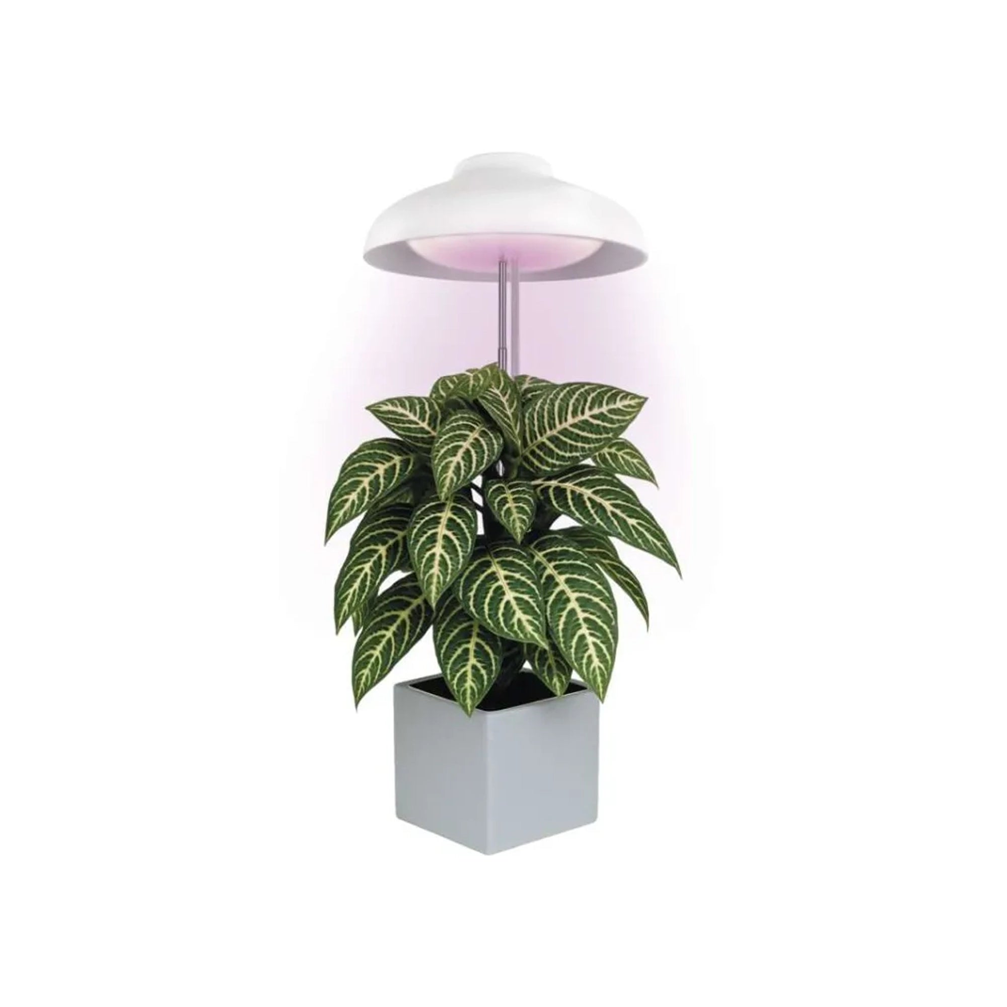 LED lampa za biljke GROW, bijela, 5W, 15 LED dioda, IP20