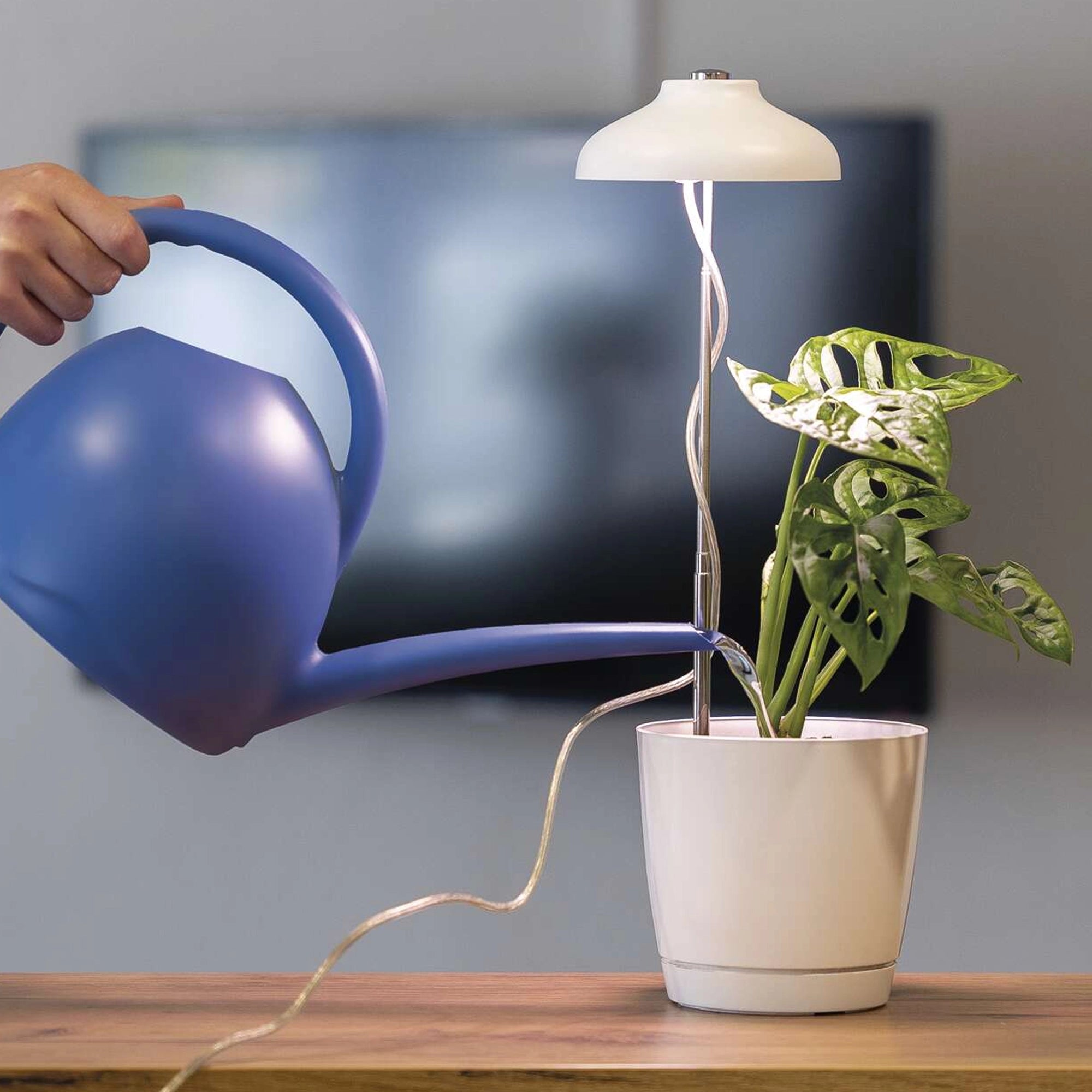 LED lampa za biljke GROW, bijela, 5W, 15 LED dioda, IP20