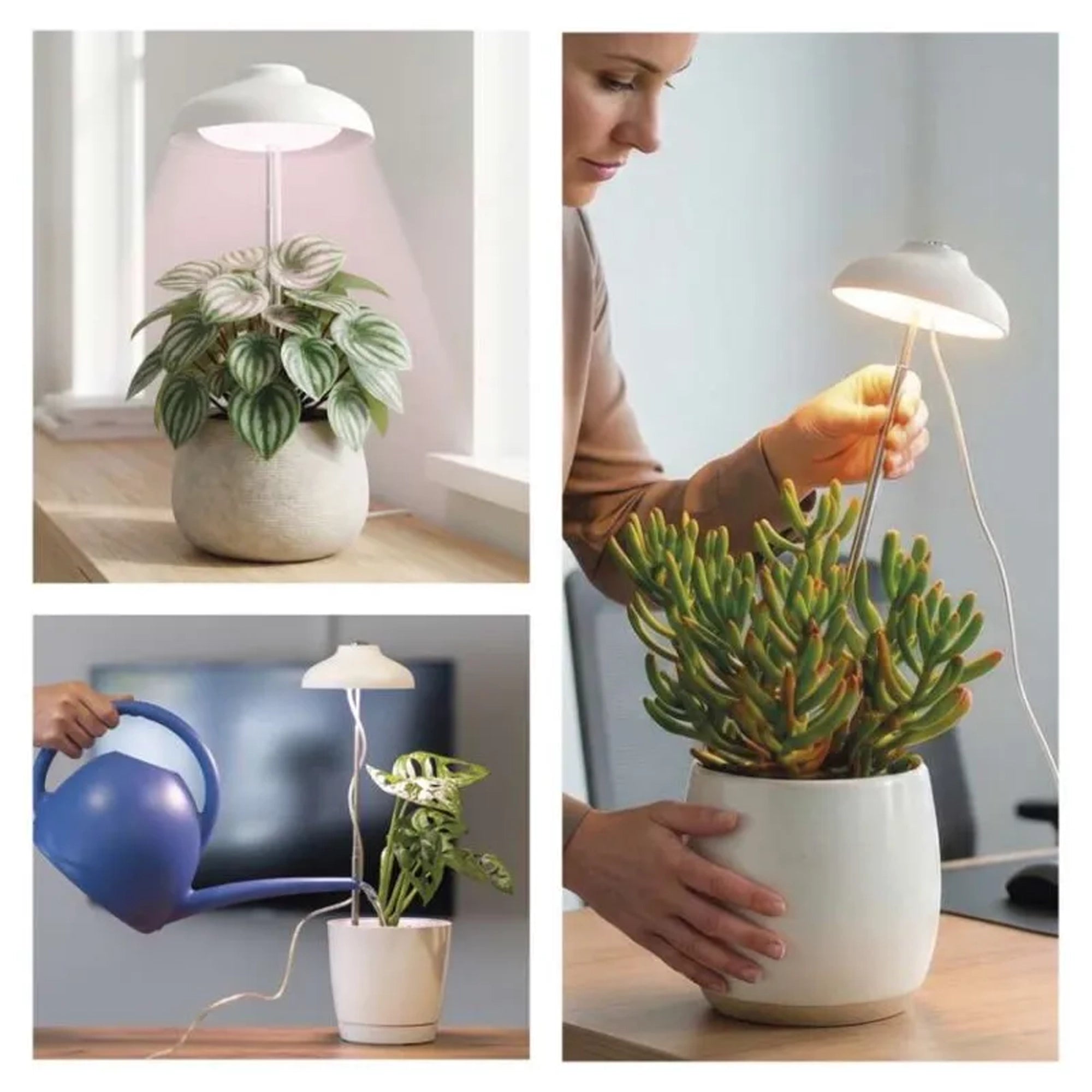 LED lampa za biljke GROW, bijela, 5W, 15 LED dioda, IP20
