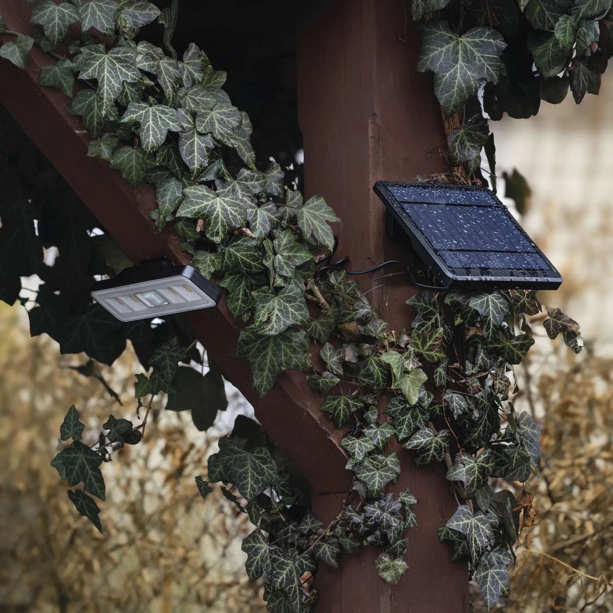 LED solarni reflektor SUNNO, senzor pokreta, crni, 4000K, IP54