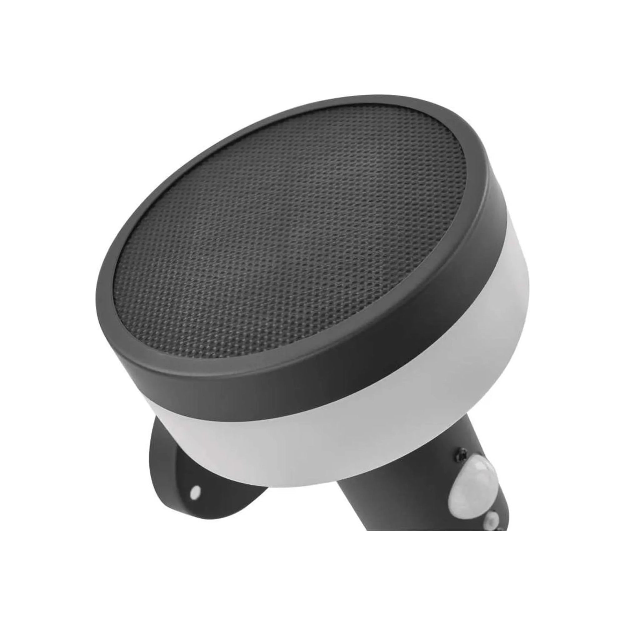 TERION LED solarna zidna svjetiljka, senzor pokreta, antracit, 2W, 3000K, IP44, 146mm