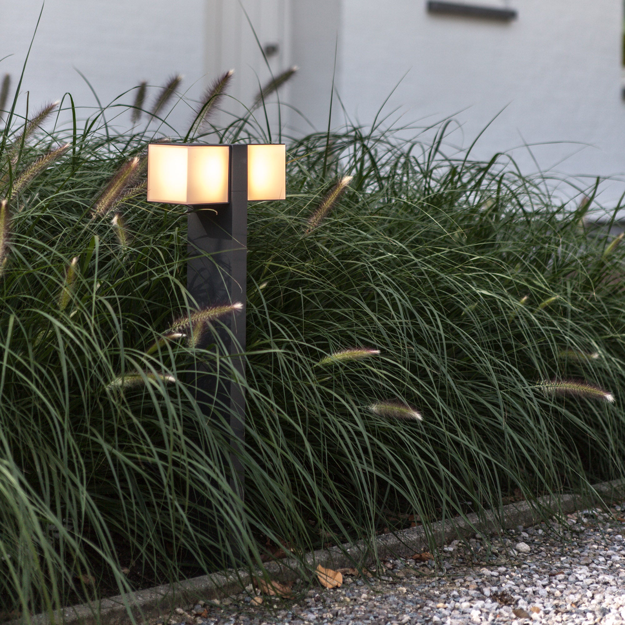 CUBA - Qactus - LED rasvjeta