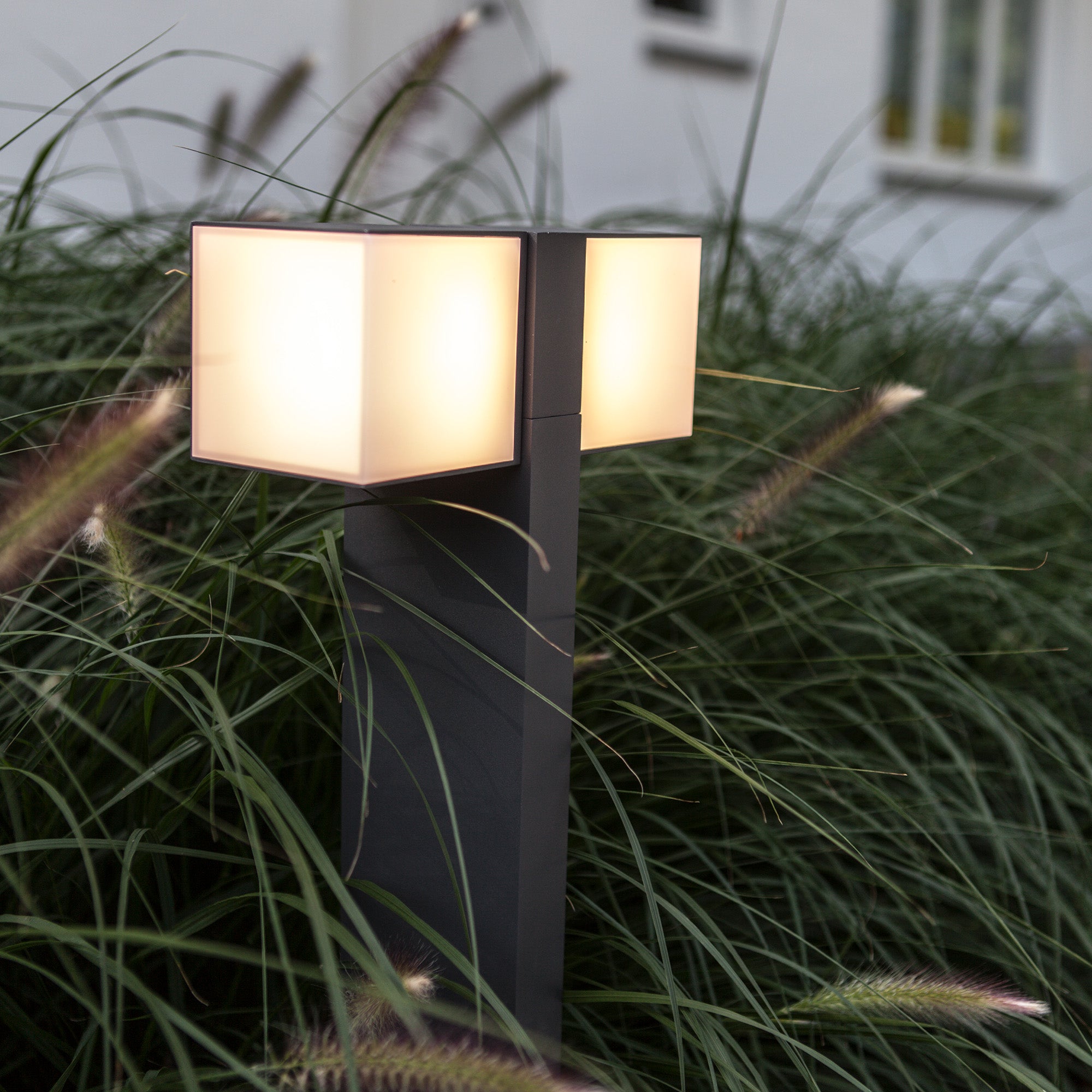 CUBA - Qactus - LED rasvjeta