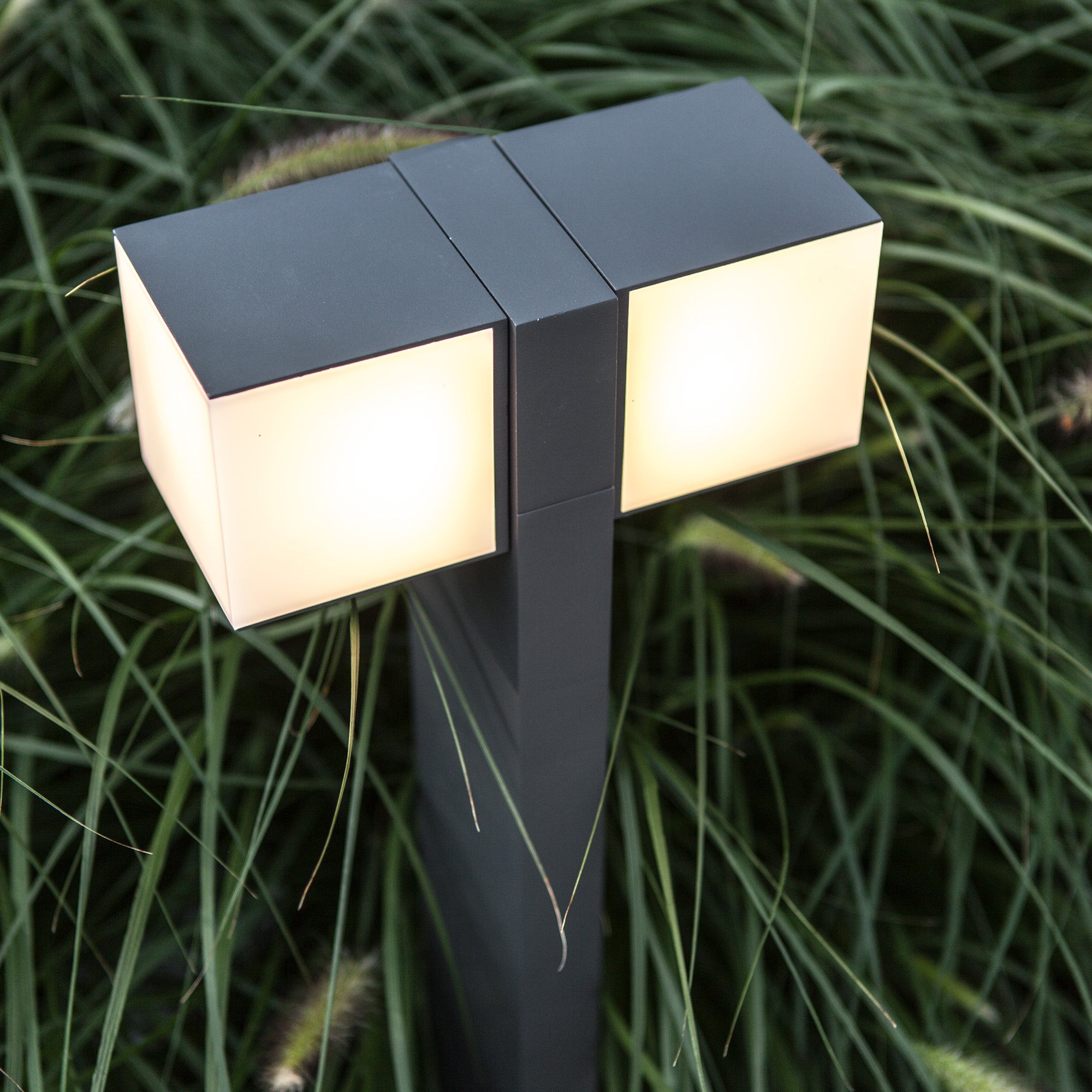 CUBA - Qactus - LED rasvjeta