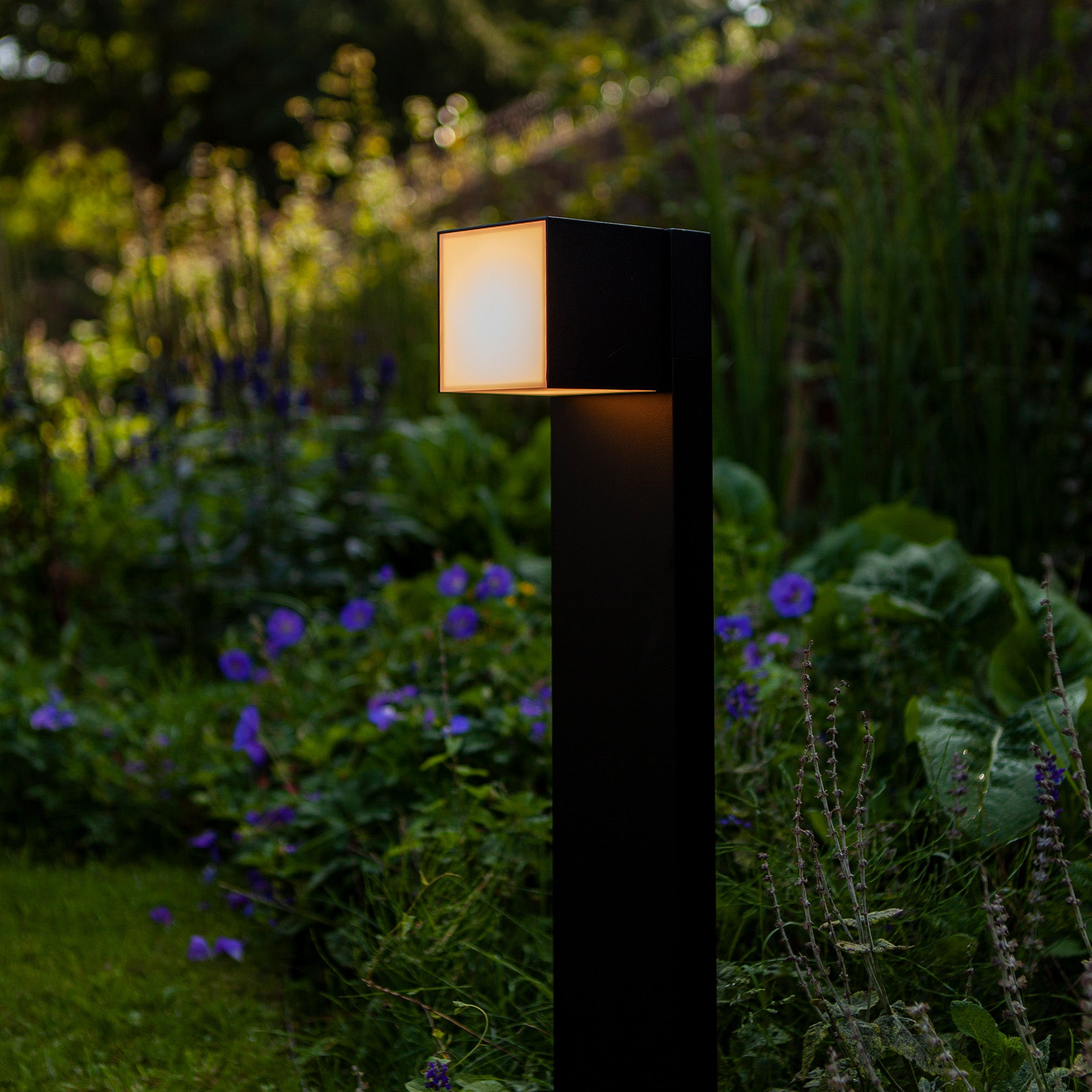CUBA - Qactus - LED rasvjeta