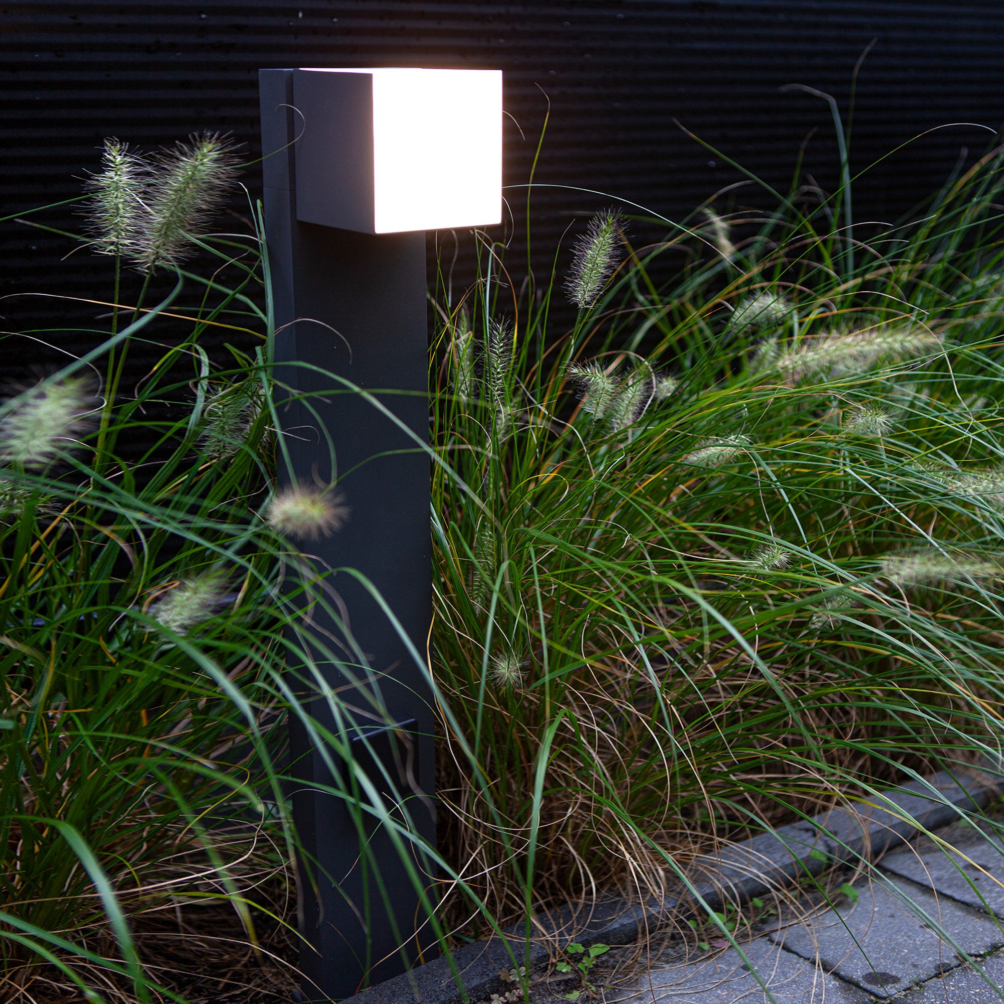 CUBA - Qactus - LED rasvjeta
