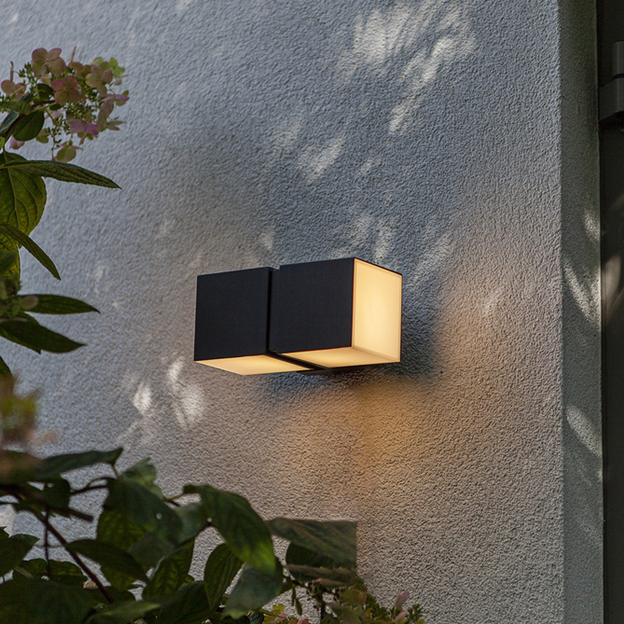 CUBA - Qactus - LED rasvjeta