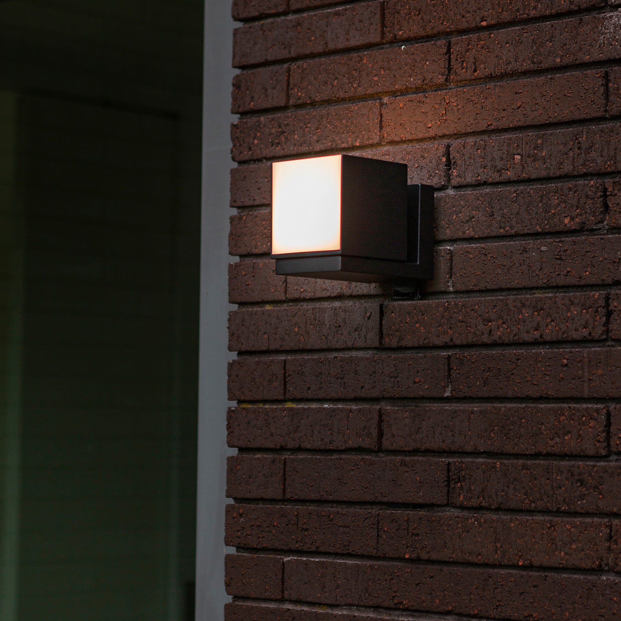 CUBA - Qactus - LED rasvjeta