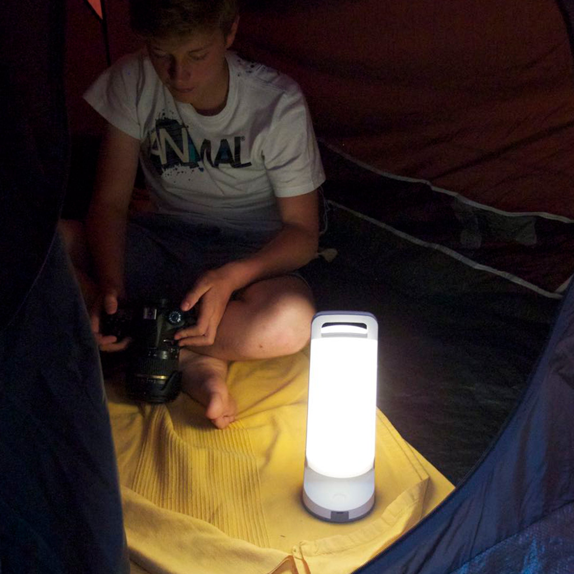 DRAGONFLY LED solarna stolna svjetiljka, bijela, 1.2W, 4000K, IP54, 281mm