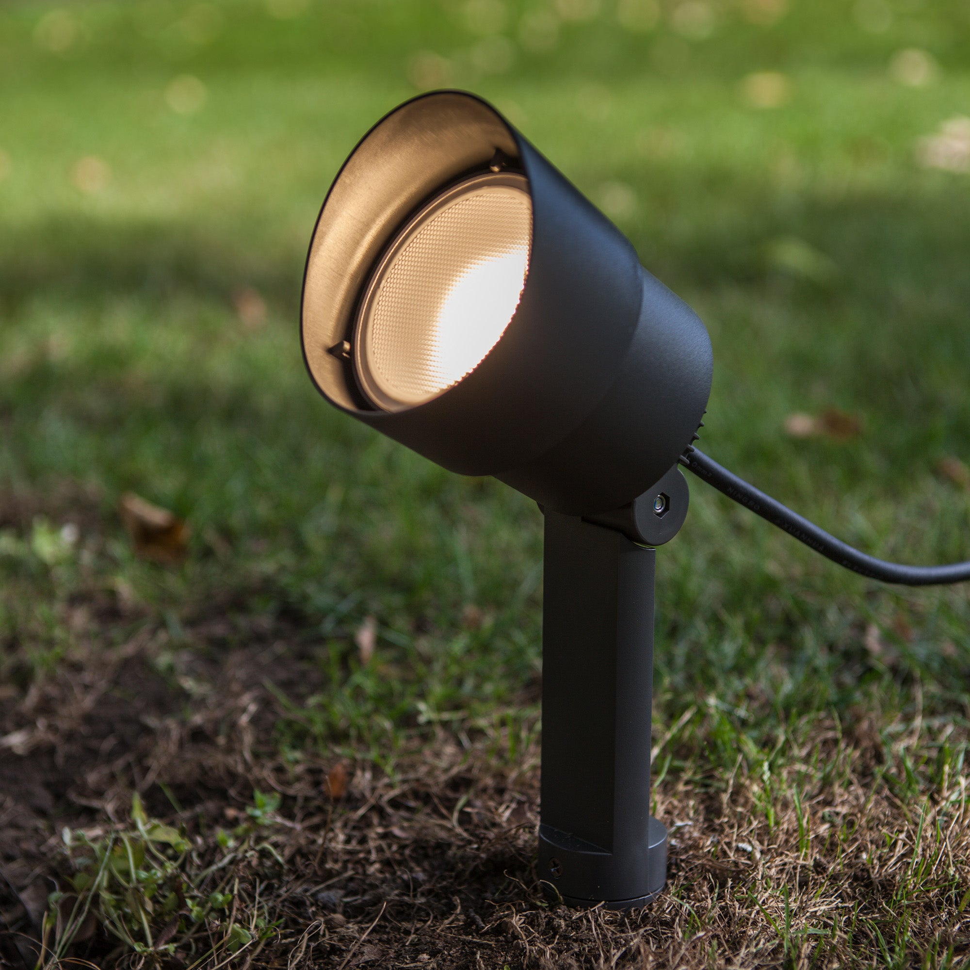 EXPLORER - Qactus - LED rasvjeta