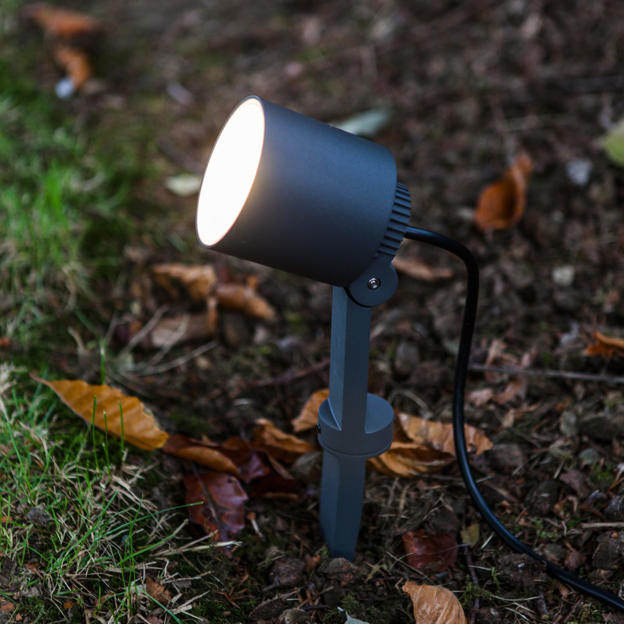 EXPLORER - Qactus - LED rasvjeta