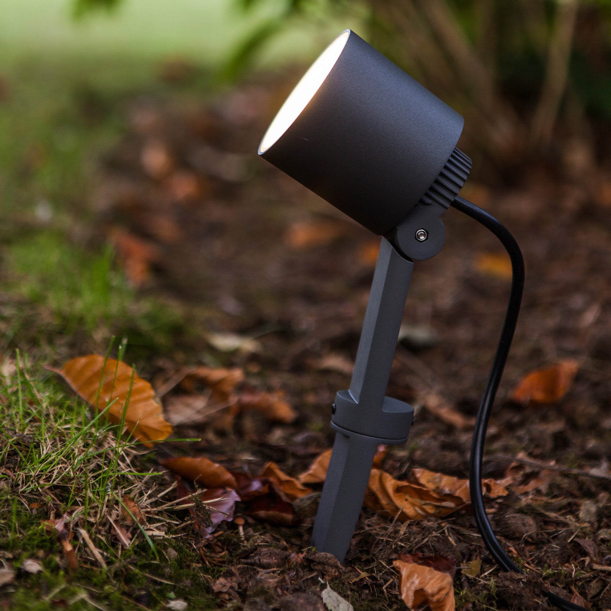 EXPLORER - Qactus - LED rasvjeta