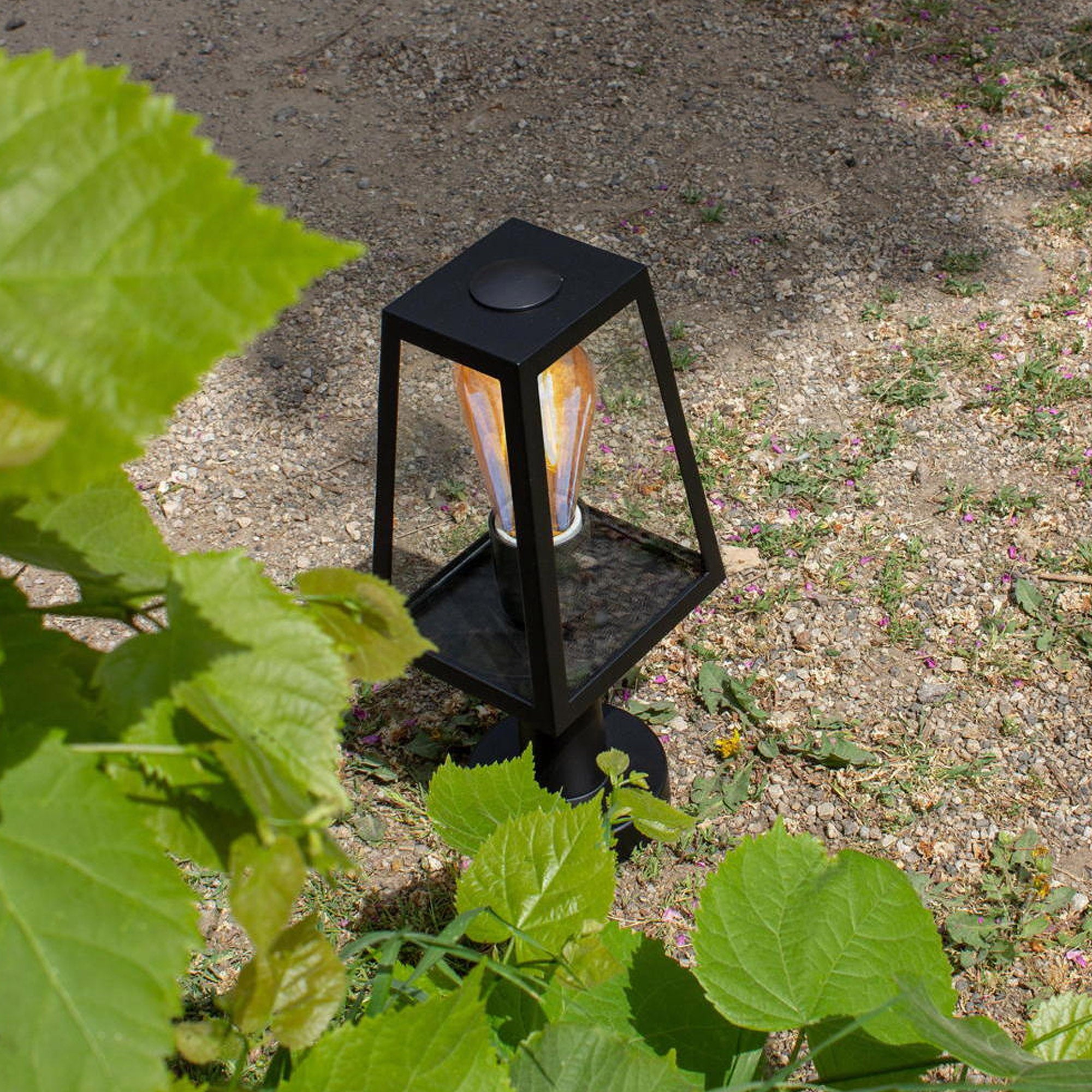 FIA - Qactus - LED rasvjeta