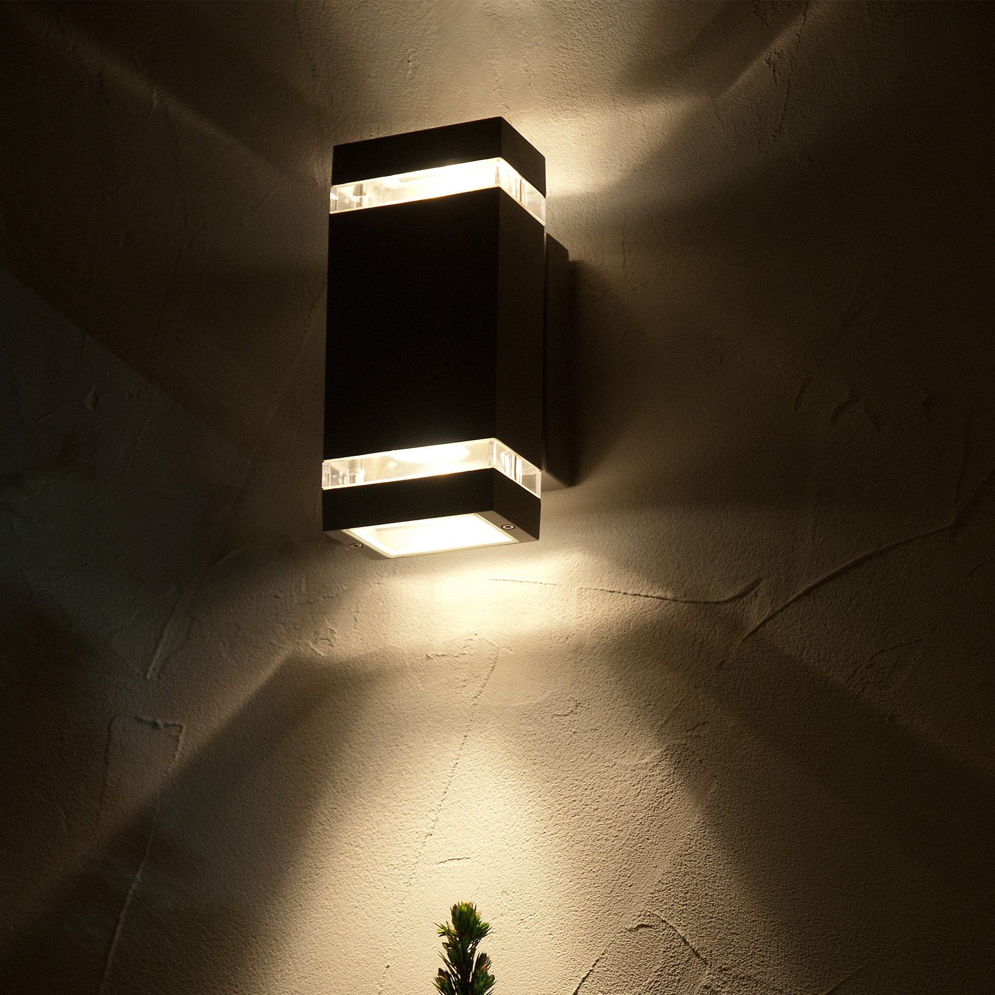 FOCUS - Qactus - LED rasvjeta