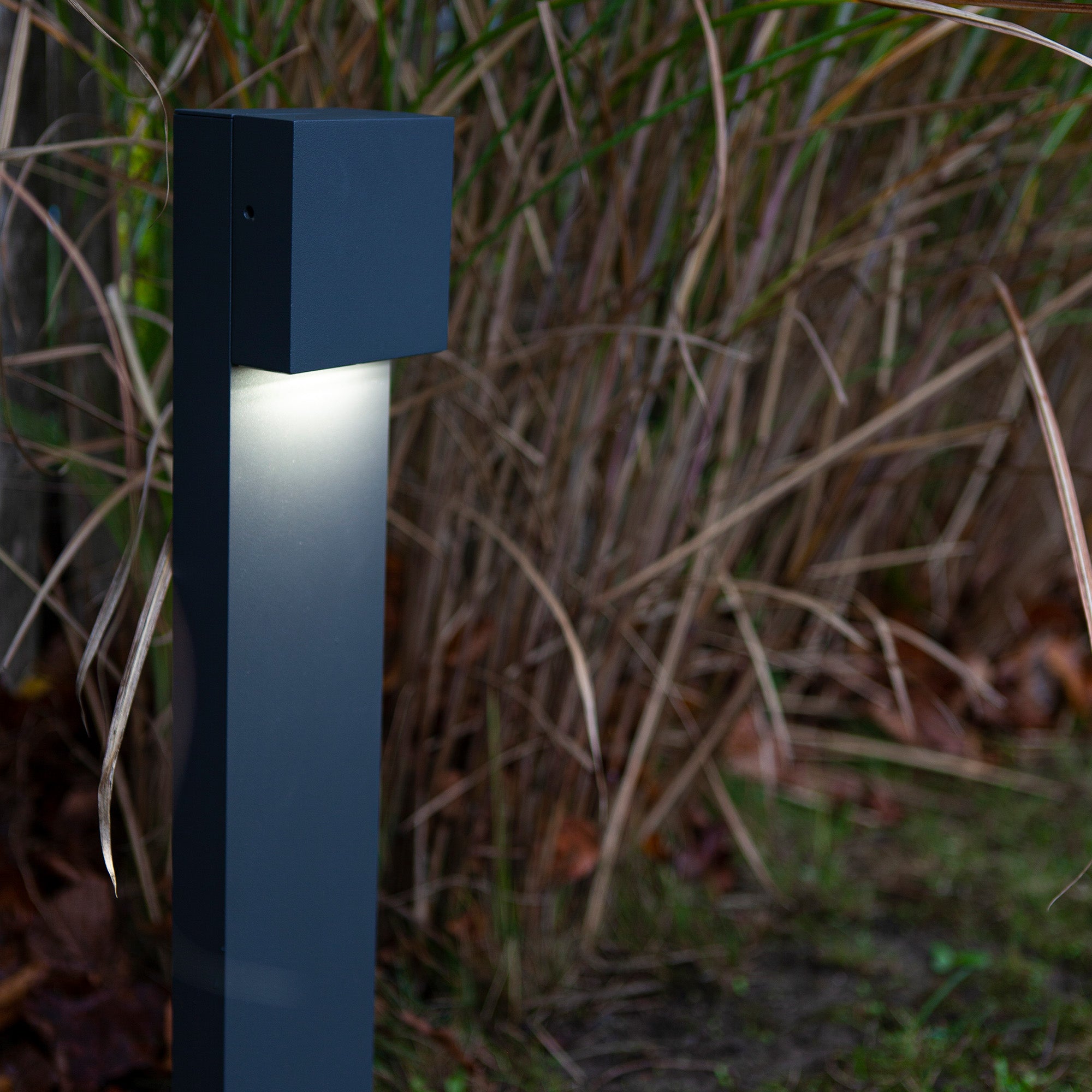 GEMINI XF - Qactus - LED rasvjeta