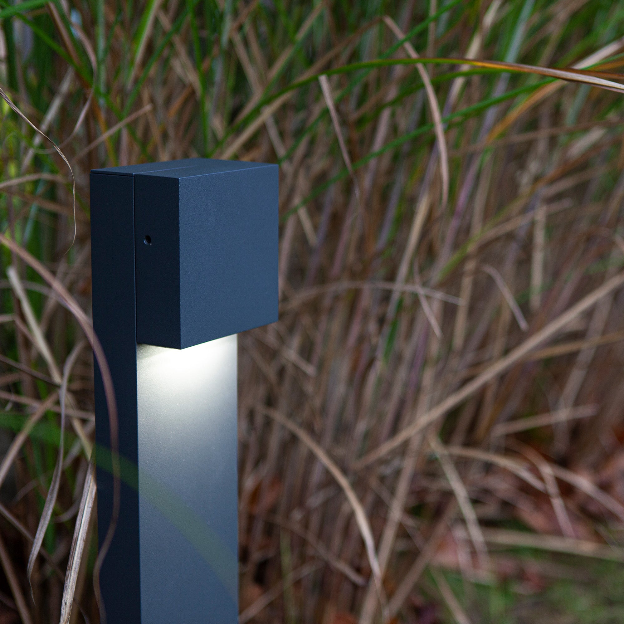 GEMINI XF - Qactus - LED rasvjeta