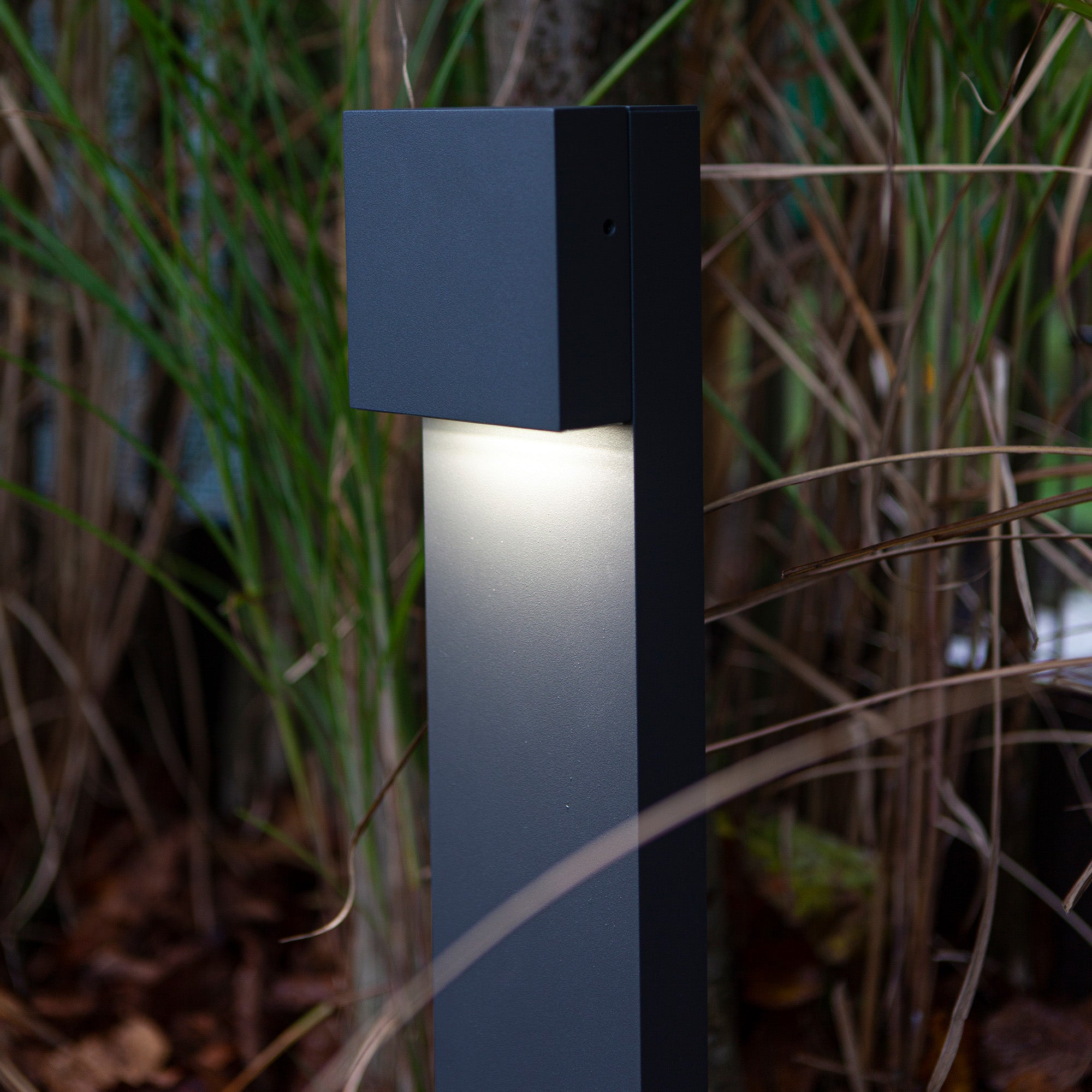 GEMINI XF - Qactus - LED rasvjeta