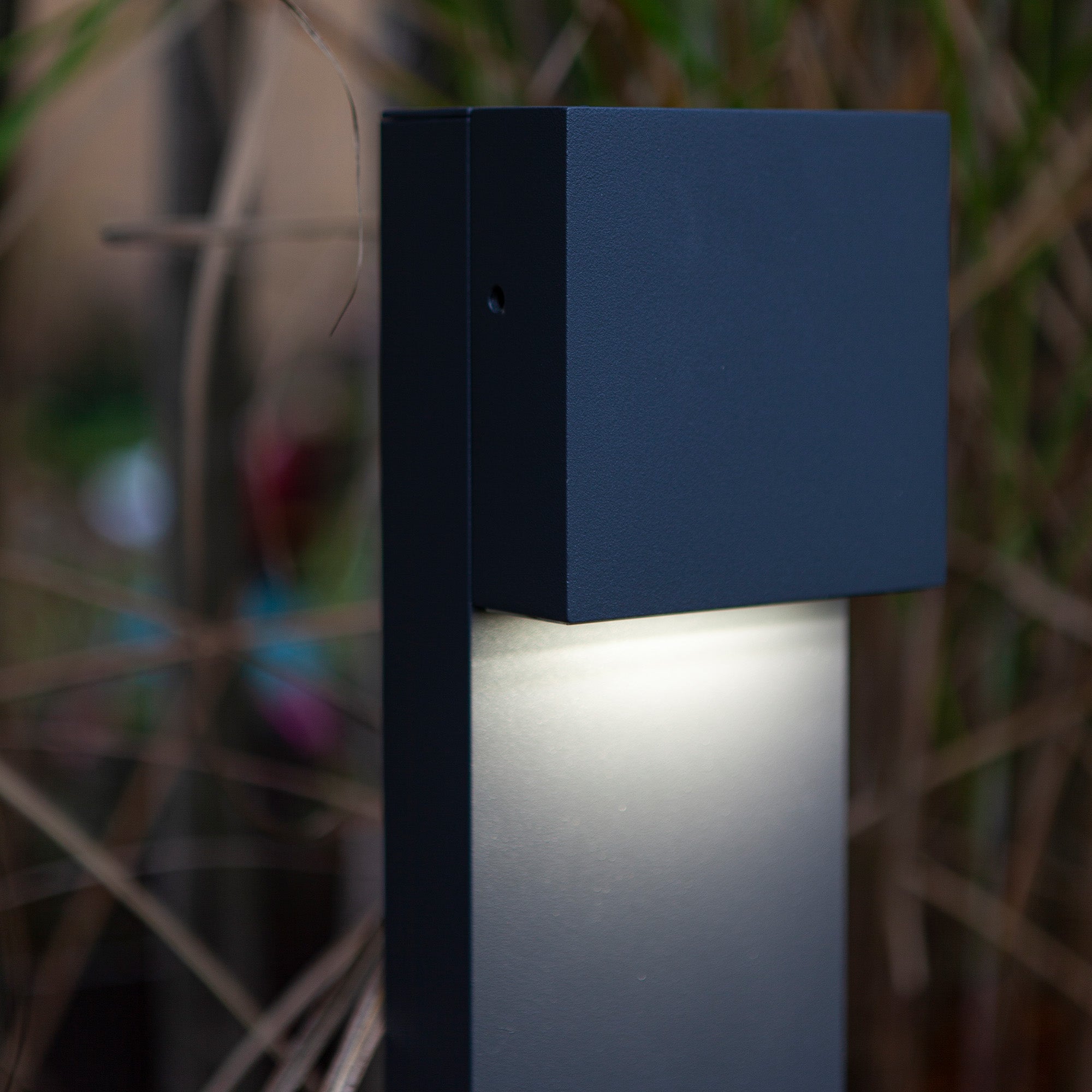 GEMINI XF - Qactus - LED rasvjeta
