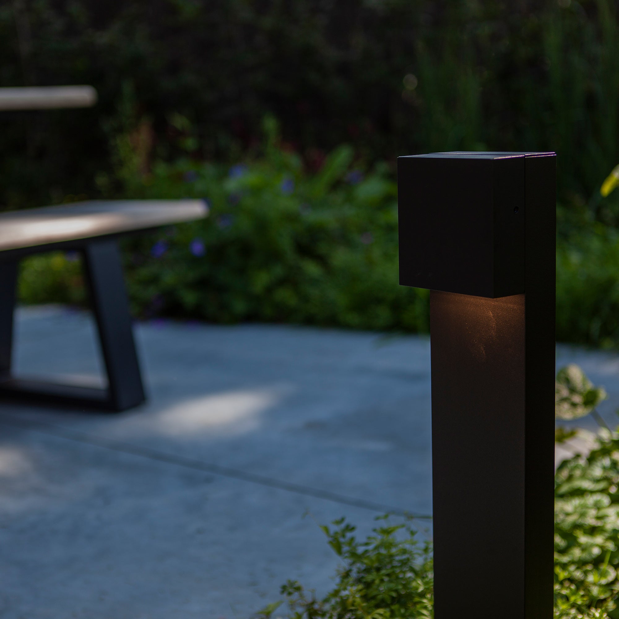 GEMINI XF - Qactus - LED rasvjeta