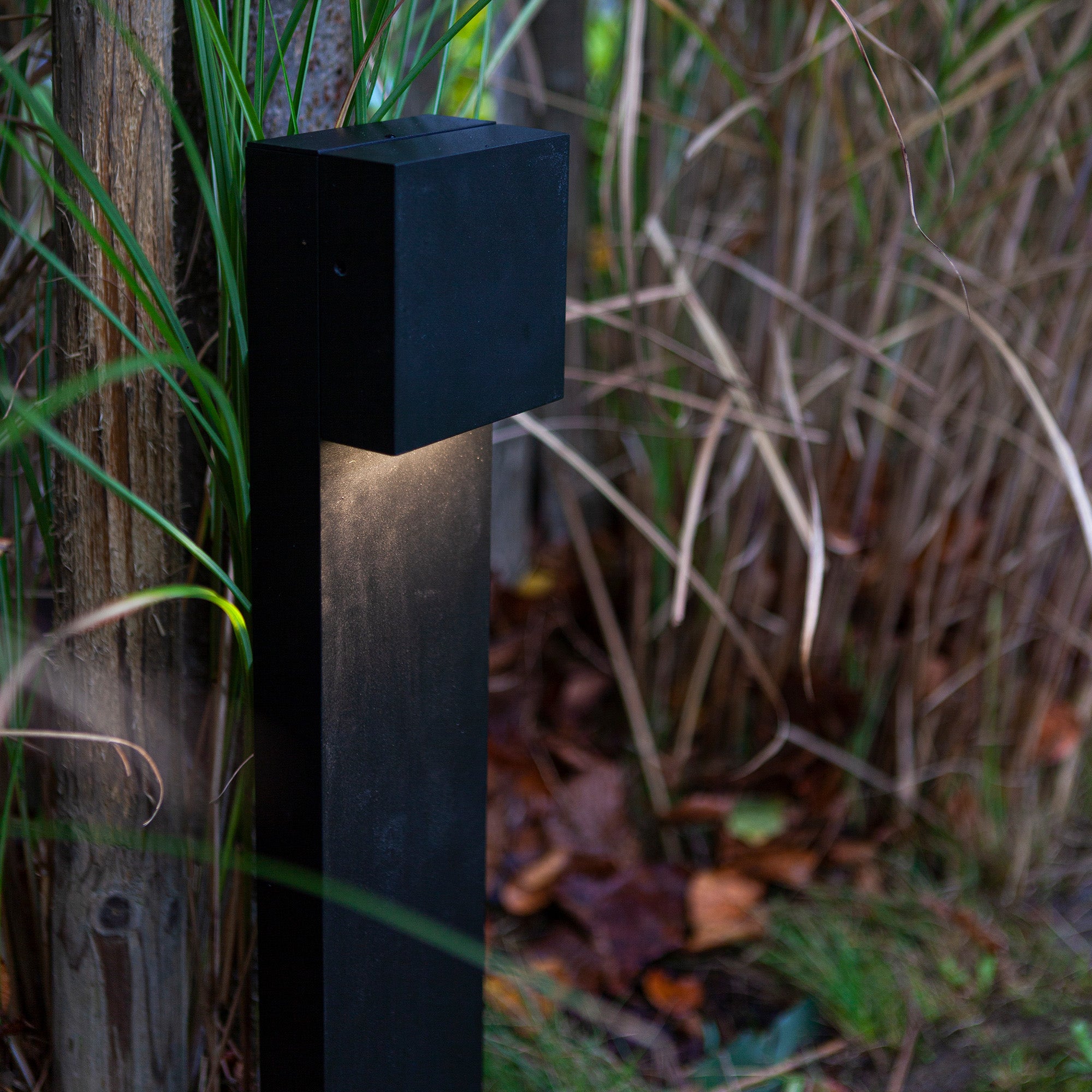 GEMINI XF - Qactus - LED rasvjeta