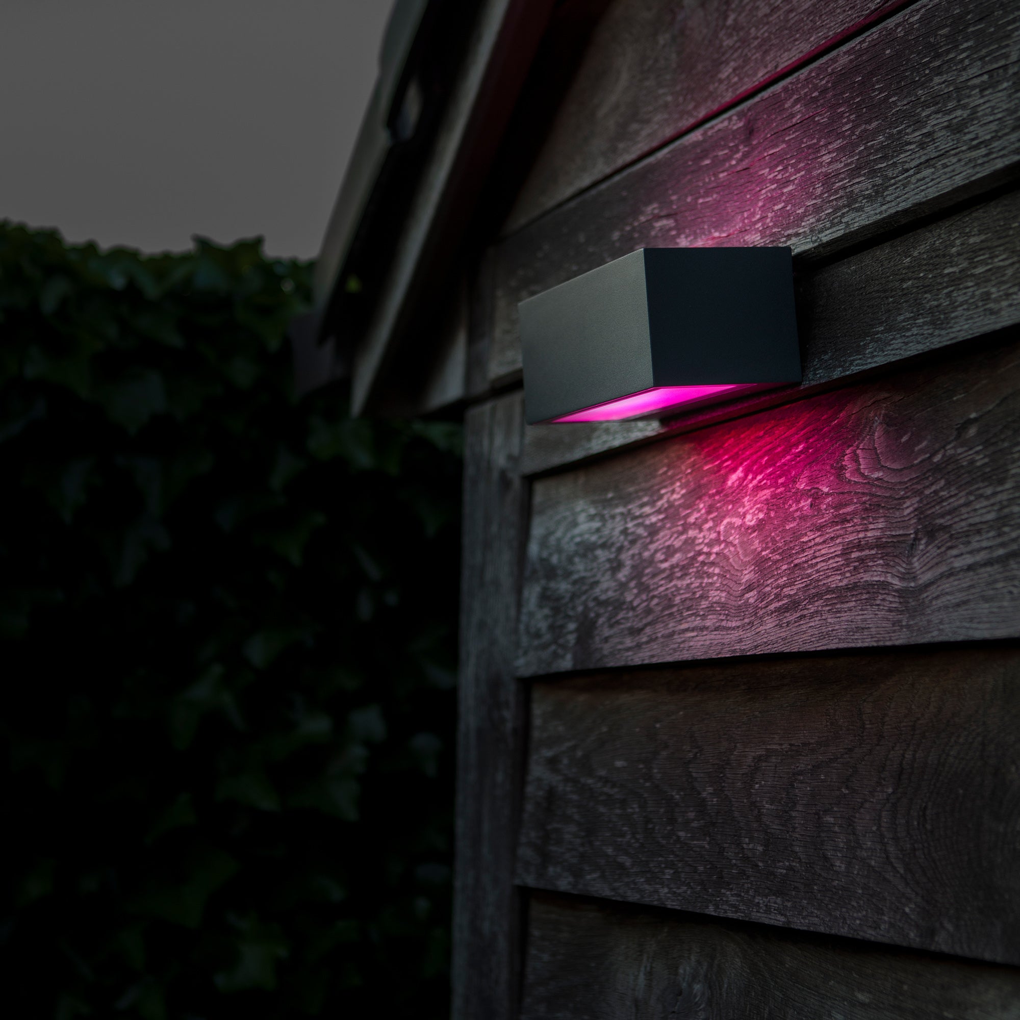 GEMINI - Qactus - LED rasvjeta