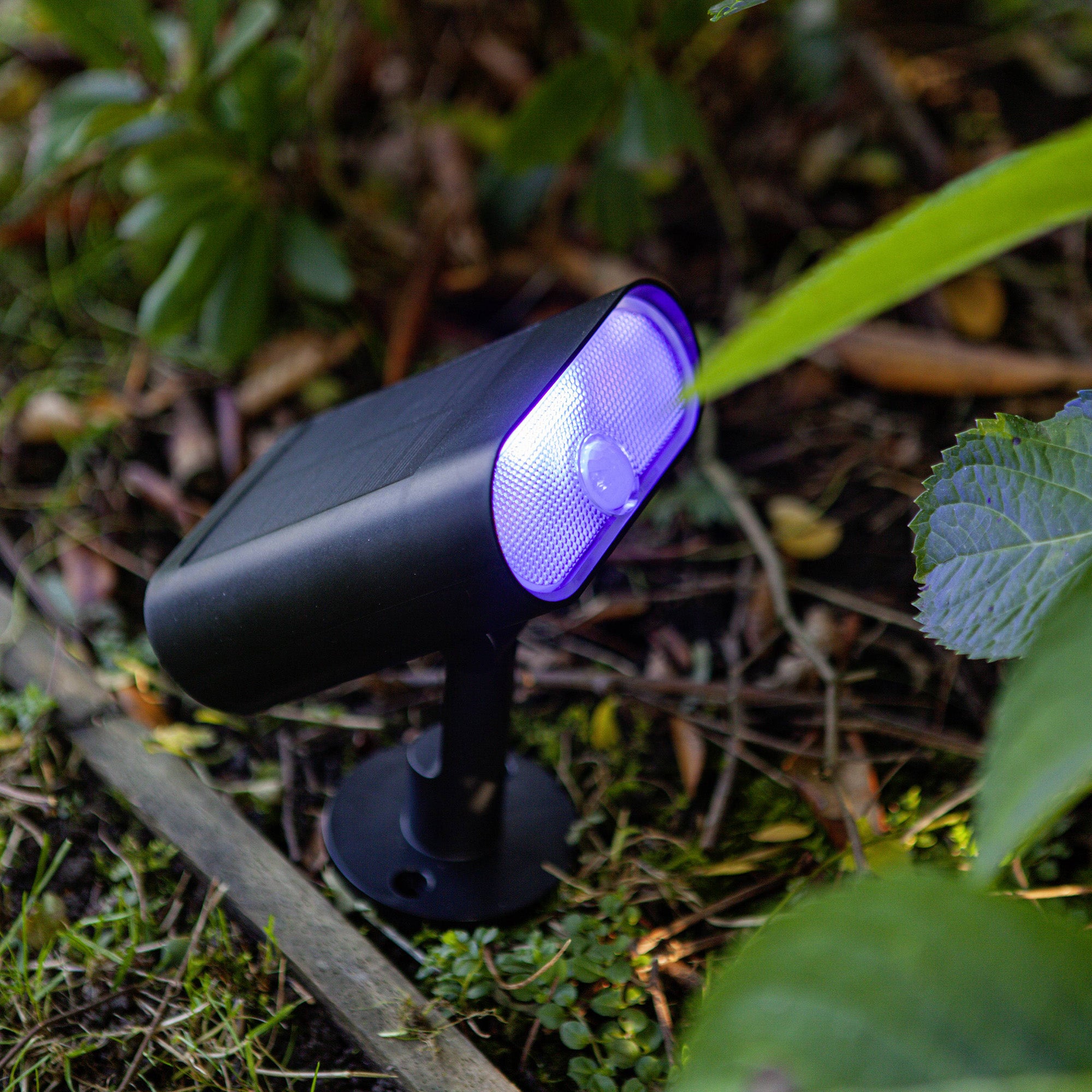 GINBO - Qactus - LED rasvjeta