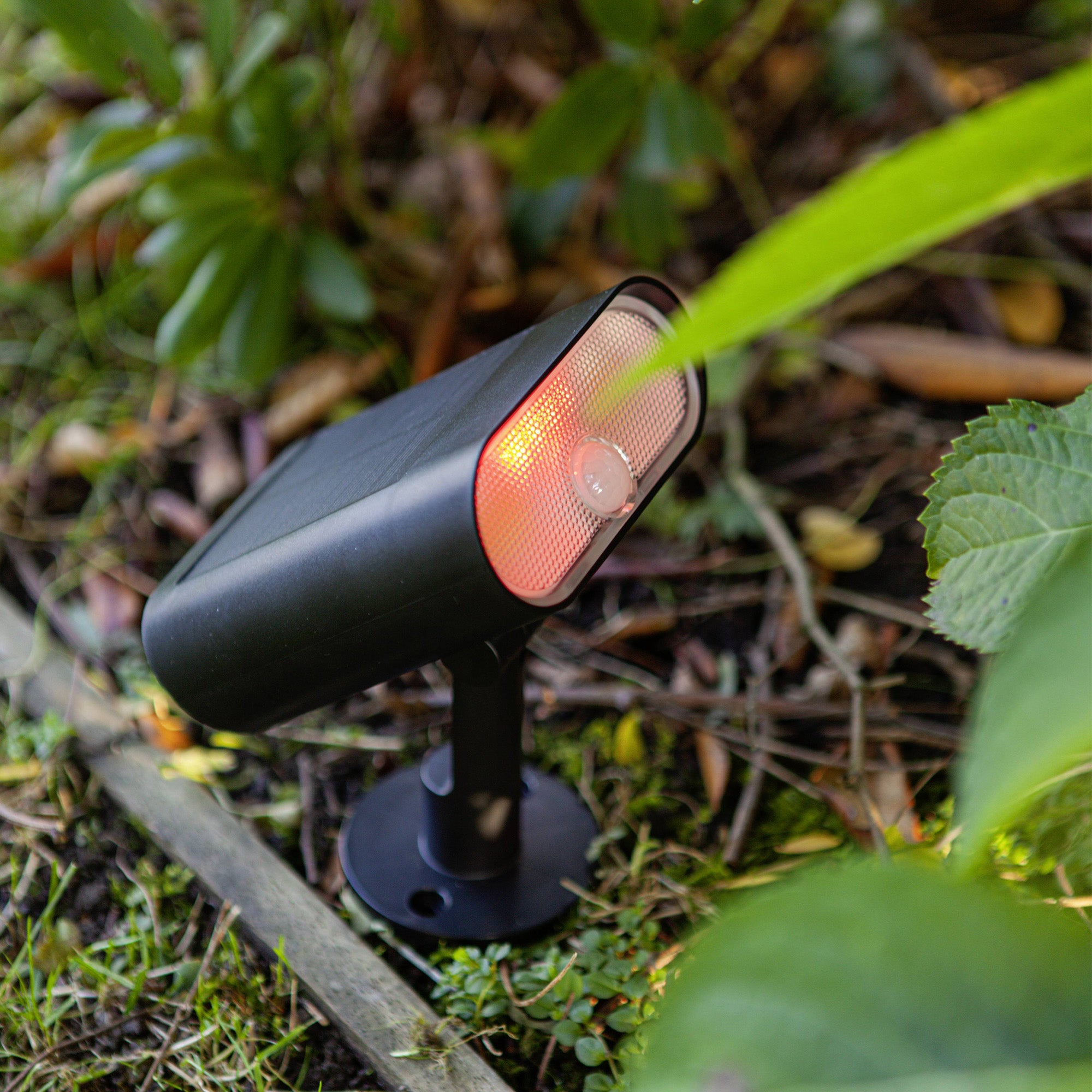 GINBO - Qactus - LED rasvjeta