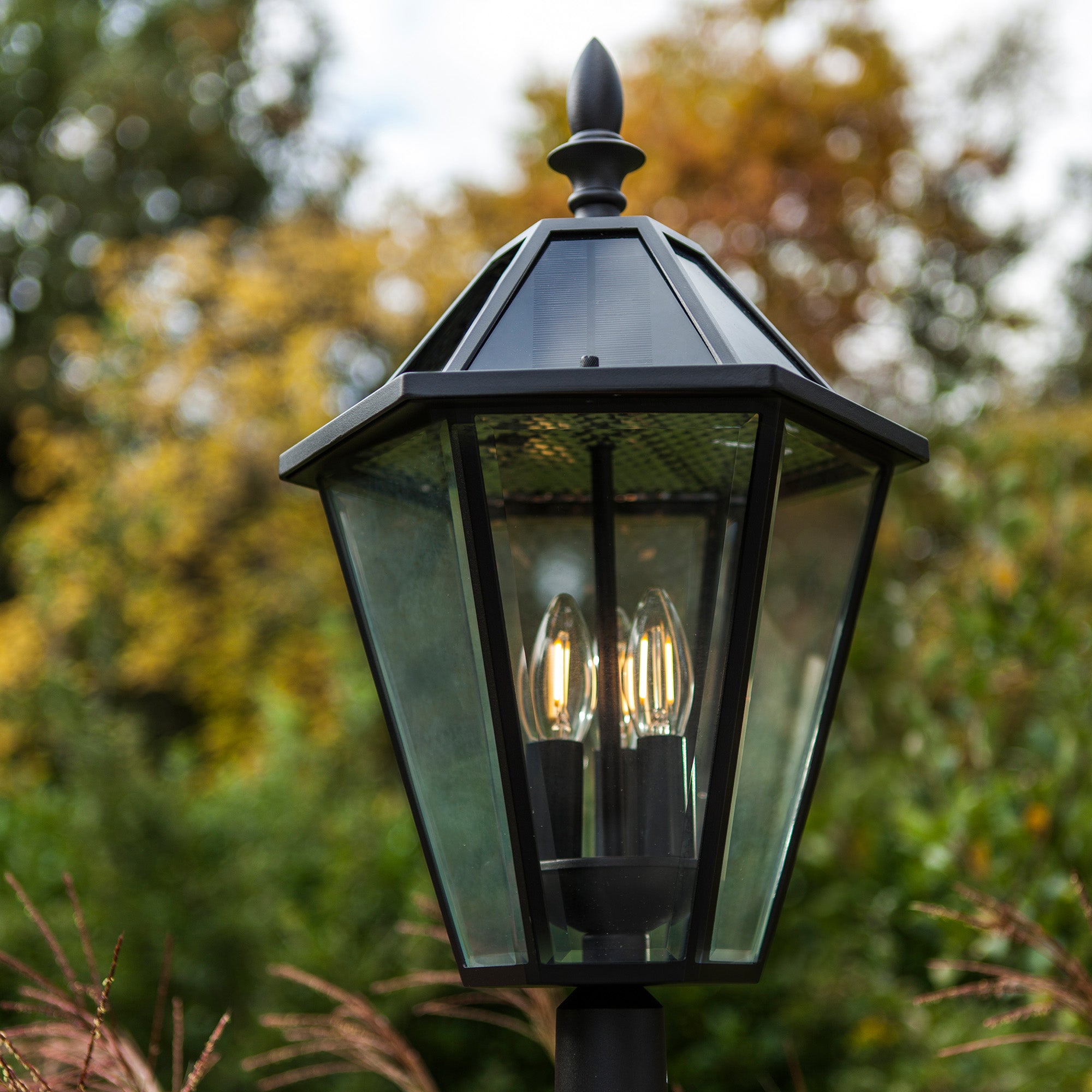 LONDON - Qactus - LED rasvjeta