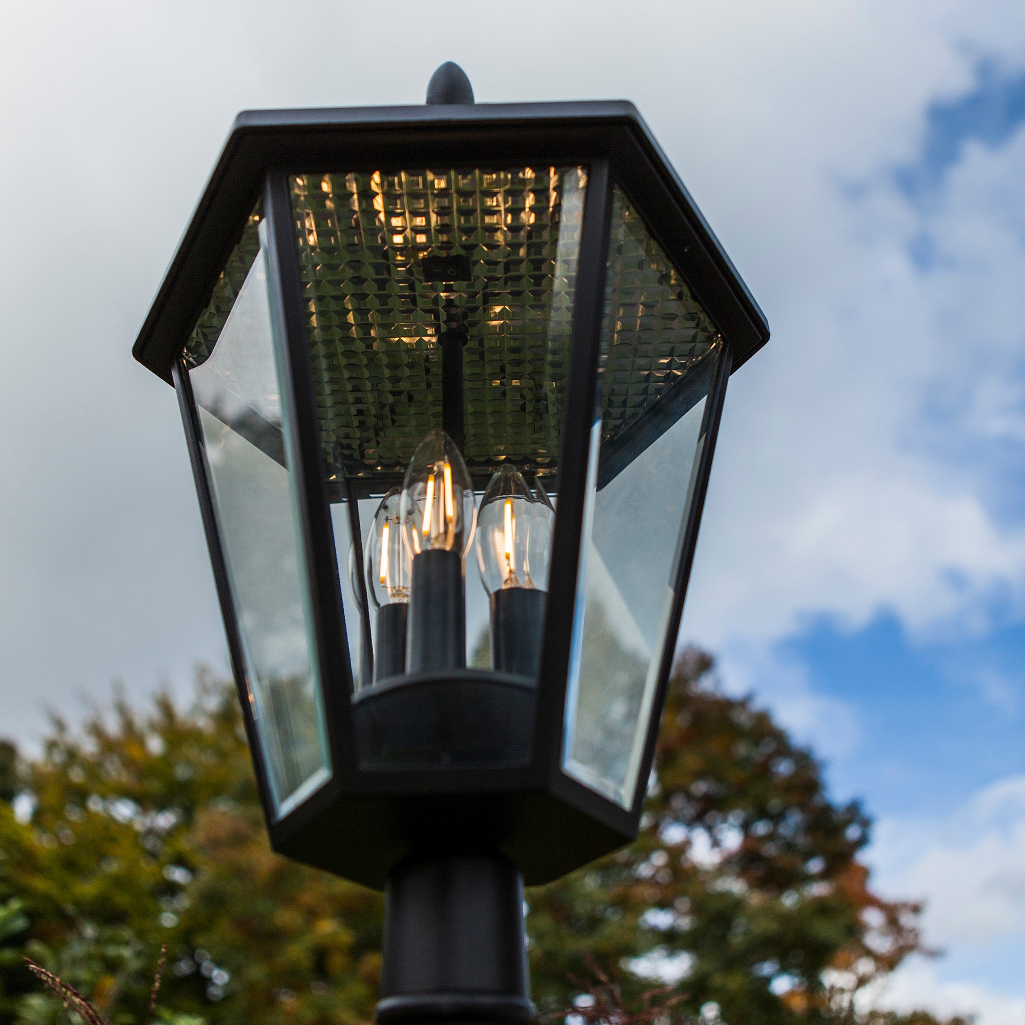 LONDON - Qactus - LED rasvjeta